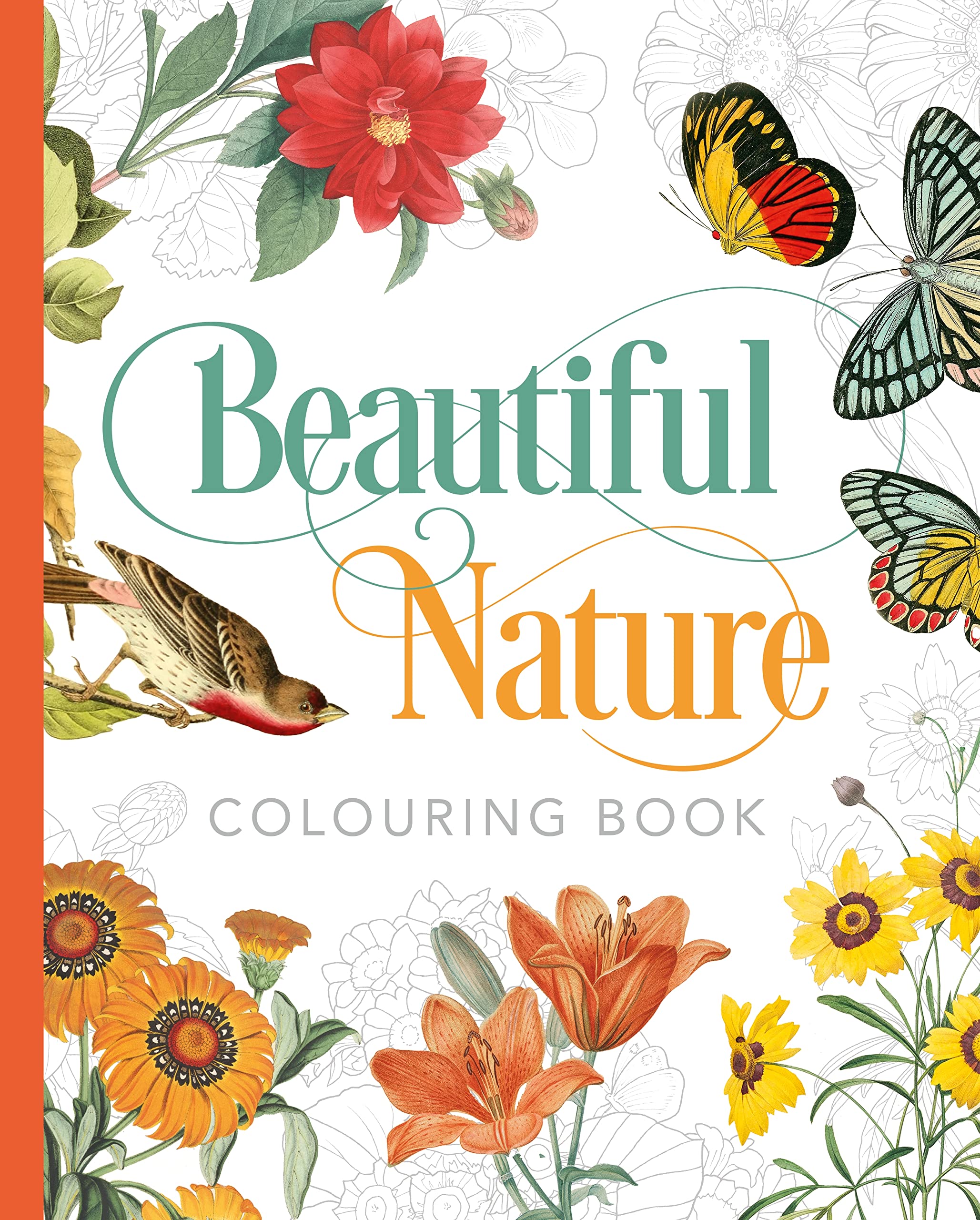 Beautiful Nature Colouring Book (Arcturus Classic Nature Colouring) Film, Art & Culture