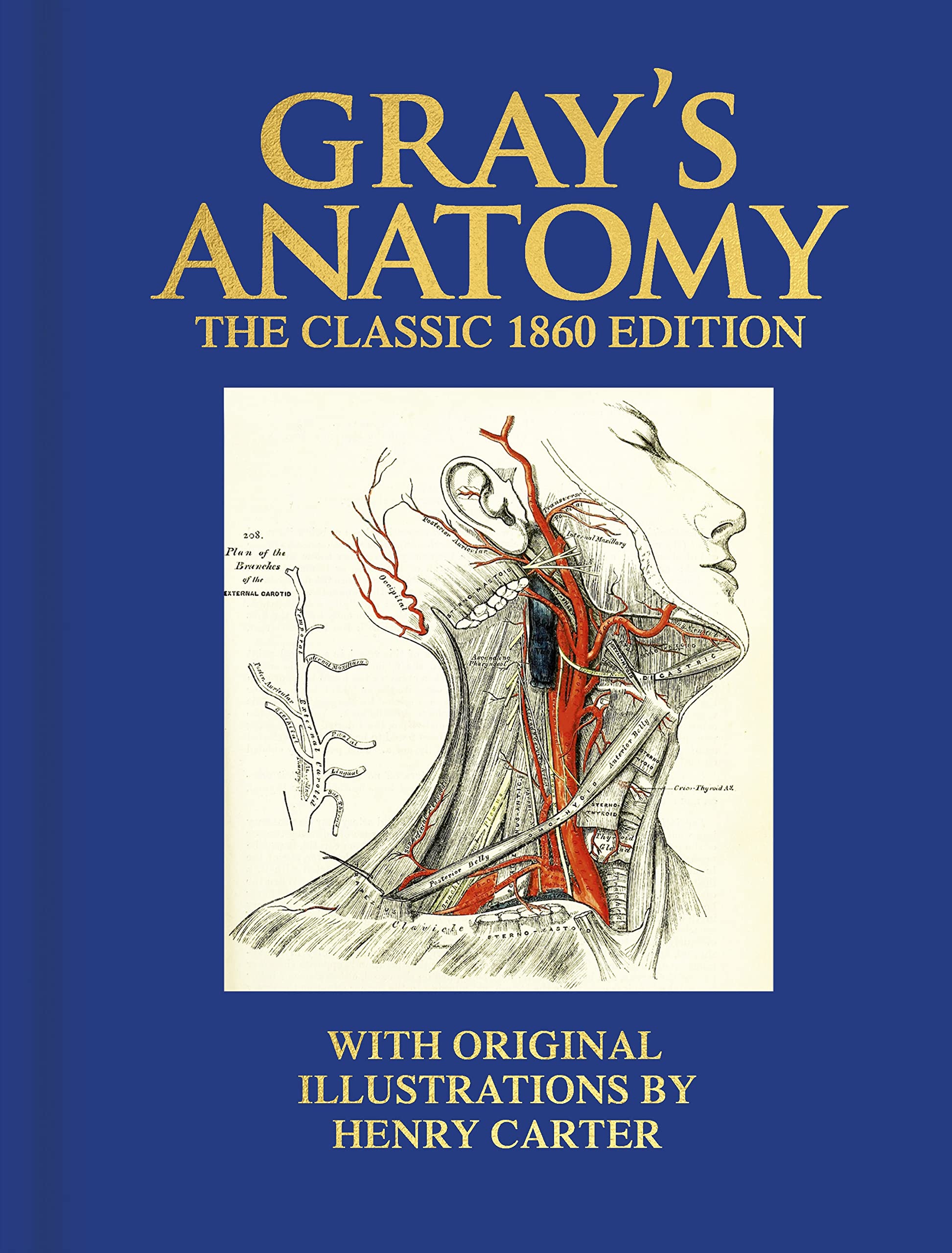 Gray's Anatomy: The Classic 1860 Edition with Original Illustrations by Henry Carter (Arcturus Deluxe Reference Library) Medicine