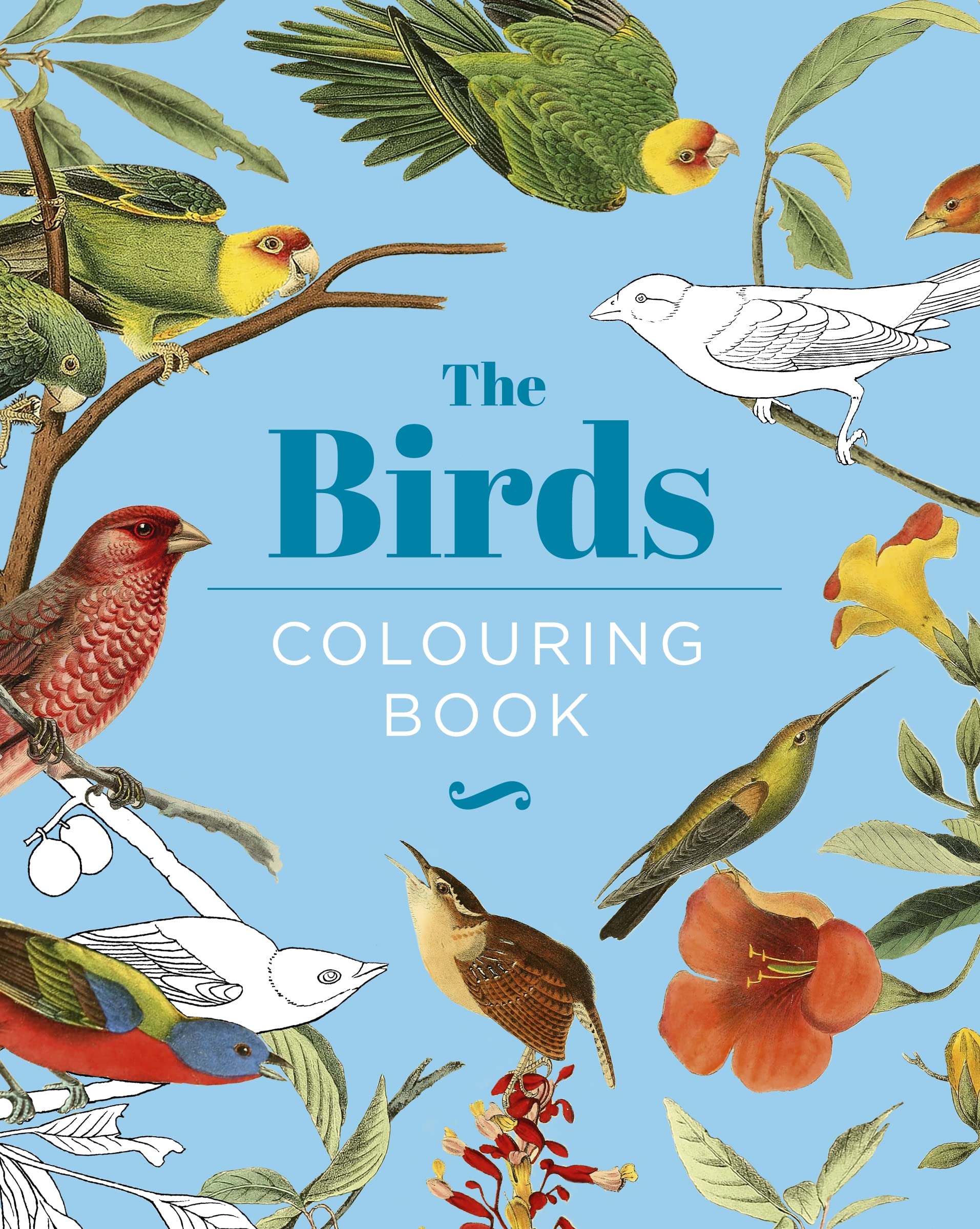 The Birds Colouring Book: Hardback Gift Edition (Hardback Vintage Colouring) Film, Art & Culture