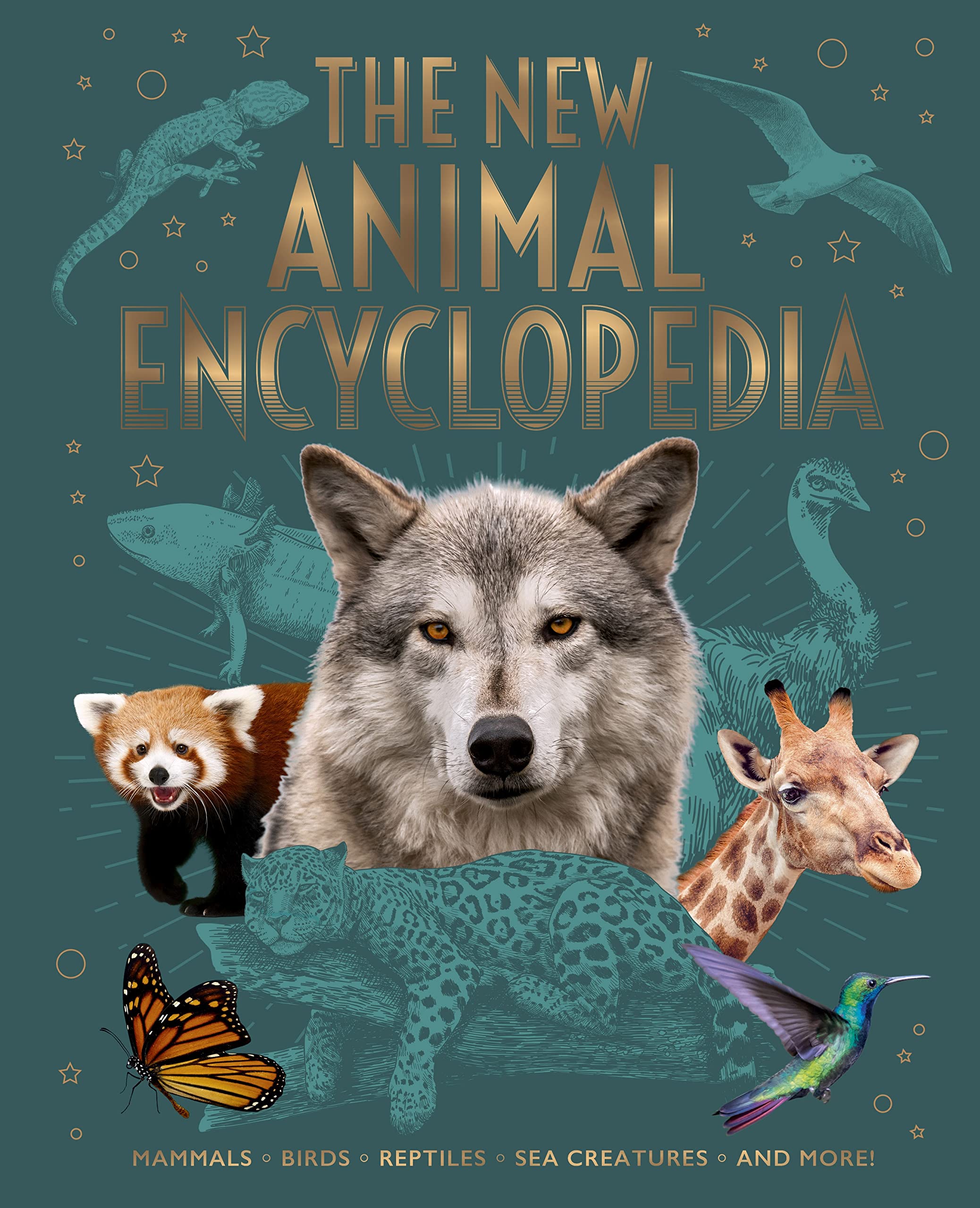 The New Animal Encyclopedia: Mammals, Birds, Reptiles, Sea Creatures, and More! (Arcturus New Encyclopedias, 3) Non-fiction