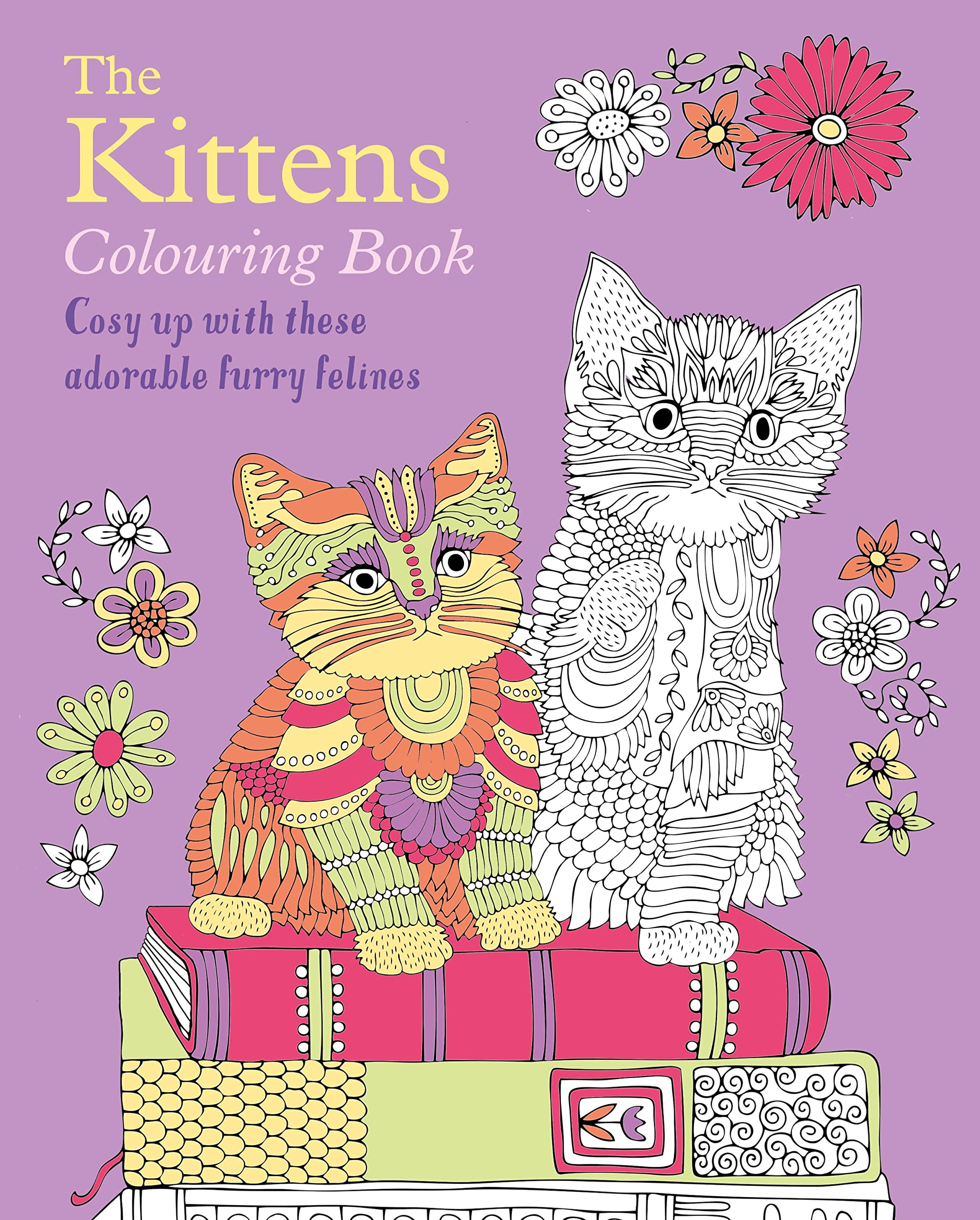 The Kittens Colouring Book: Cosy Up with these Adorable Furry Felines (Arcturus Creative Colouring) Film, Art & Culture