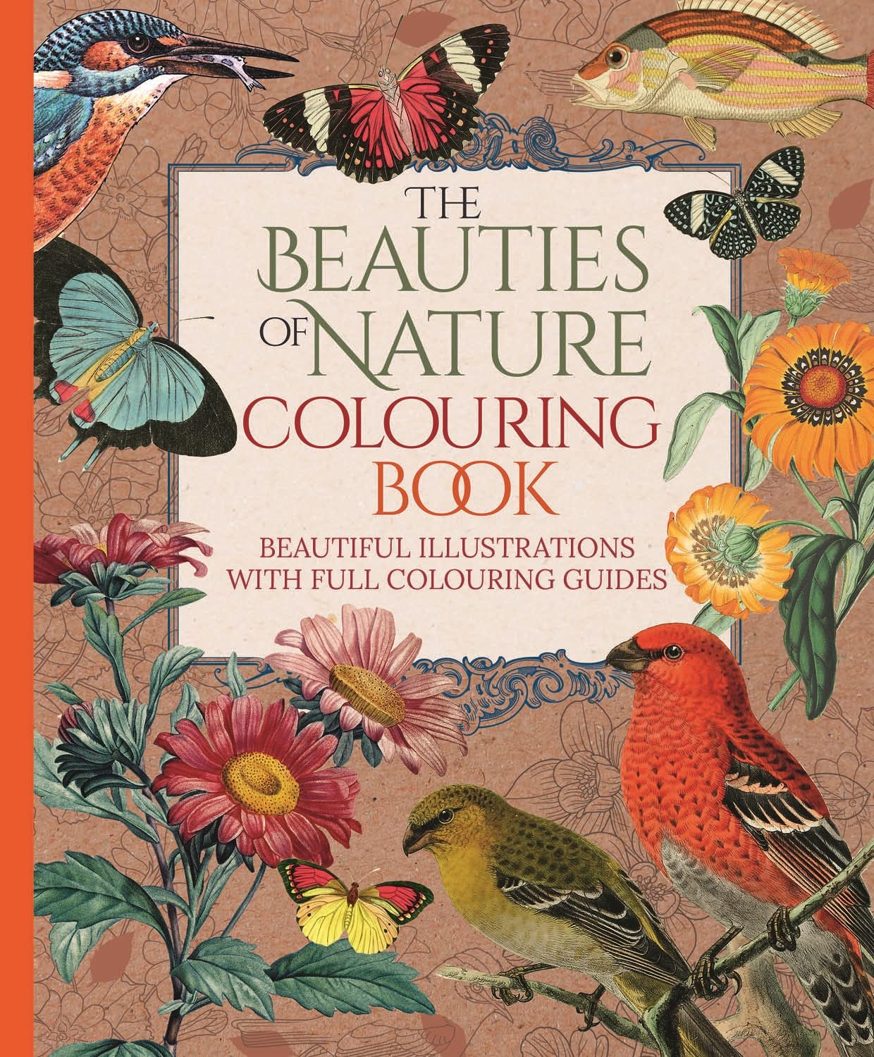 The Beauties of Nature Colouring Book: Beautiful Illustrations with Full Colouring Guides (Arcturus Classic Nature Colouring) Film, Art & Culture