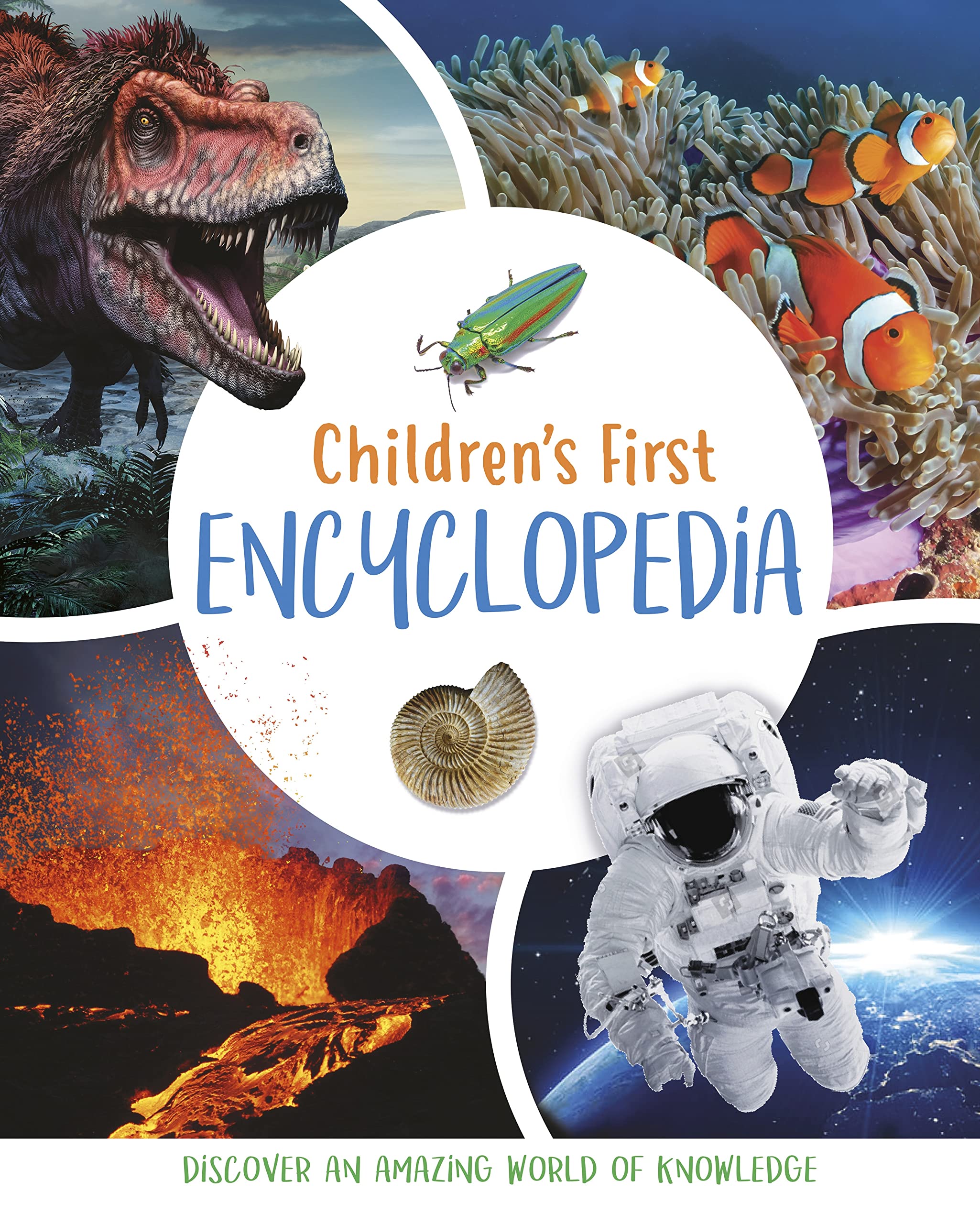 Children's First Encyclopedia: Discover an Amazing World of Knowledge (Arcturus First Encyclopedias) Non-fiction