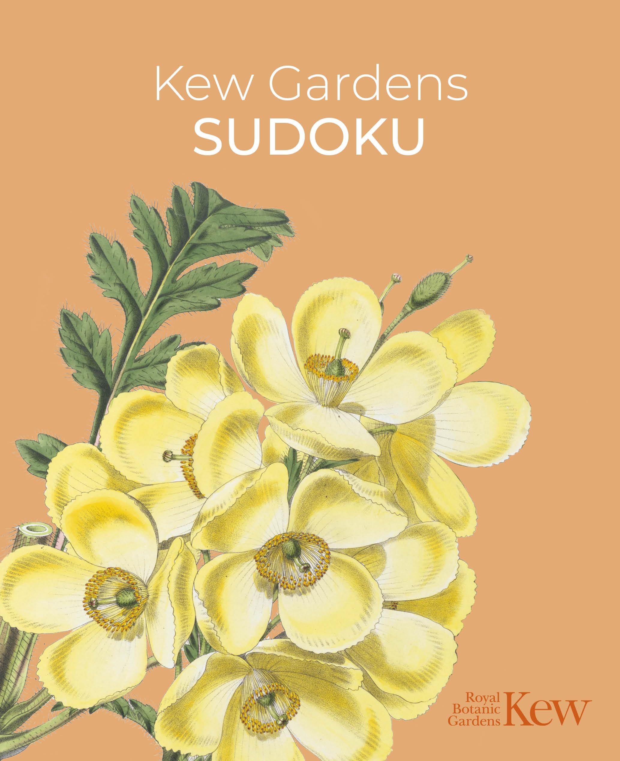 Kew Gardens Sudoku (Kew Gardens Arts & Activities) Leisure & Fun