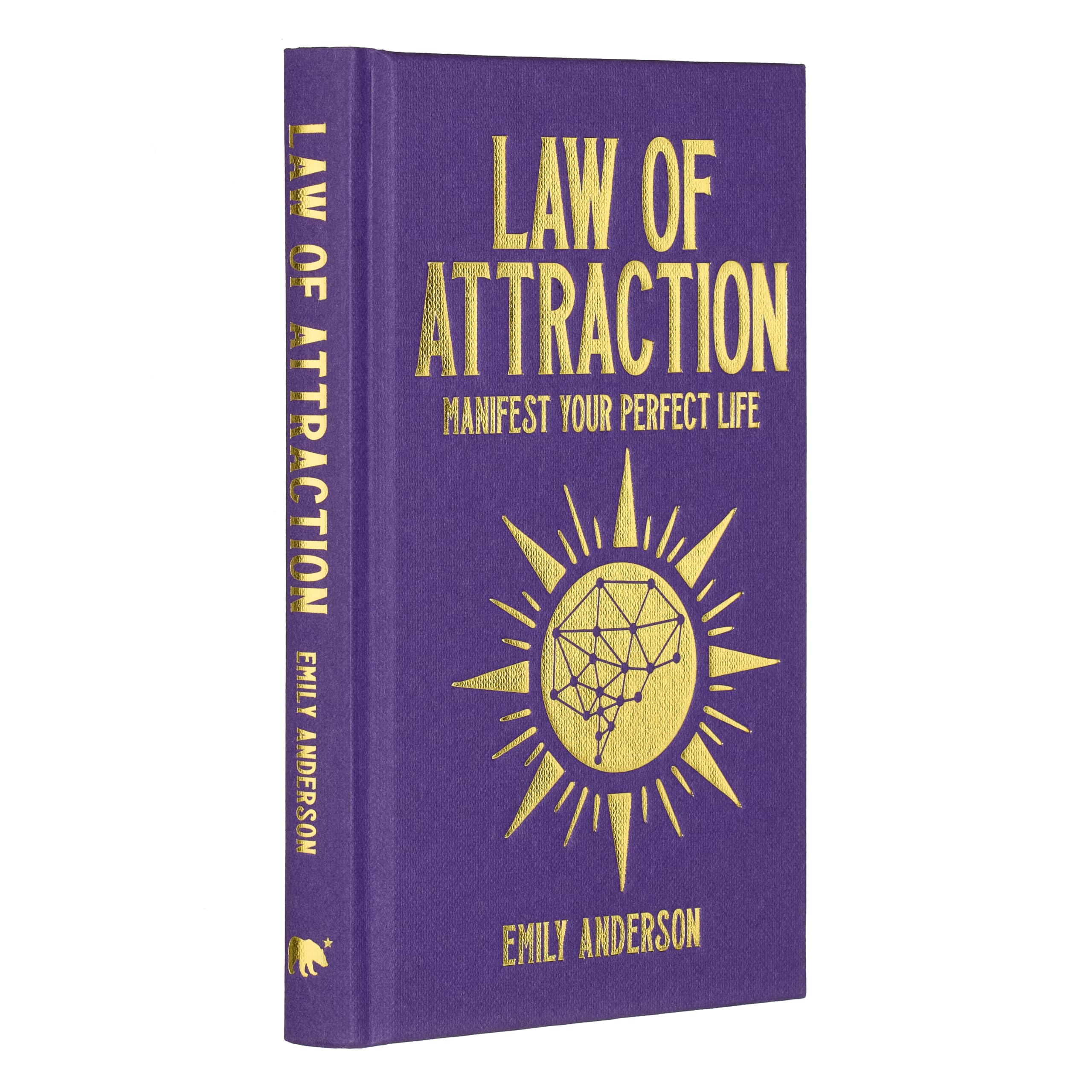 Law of Attraction: Manifest Your Perfect Life (Arcturus Hidden Knowledge) Lifestyle
