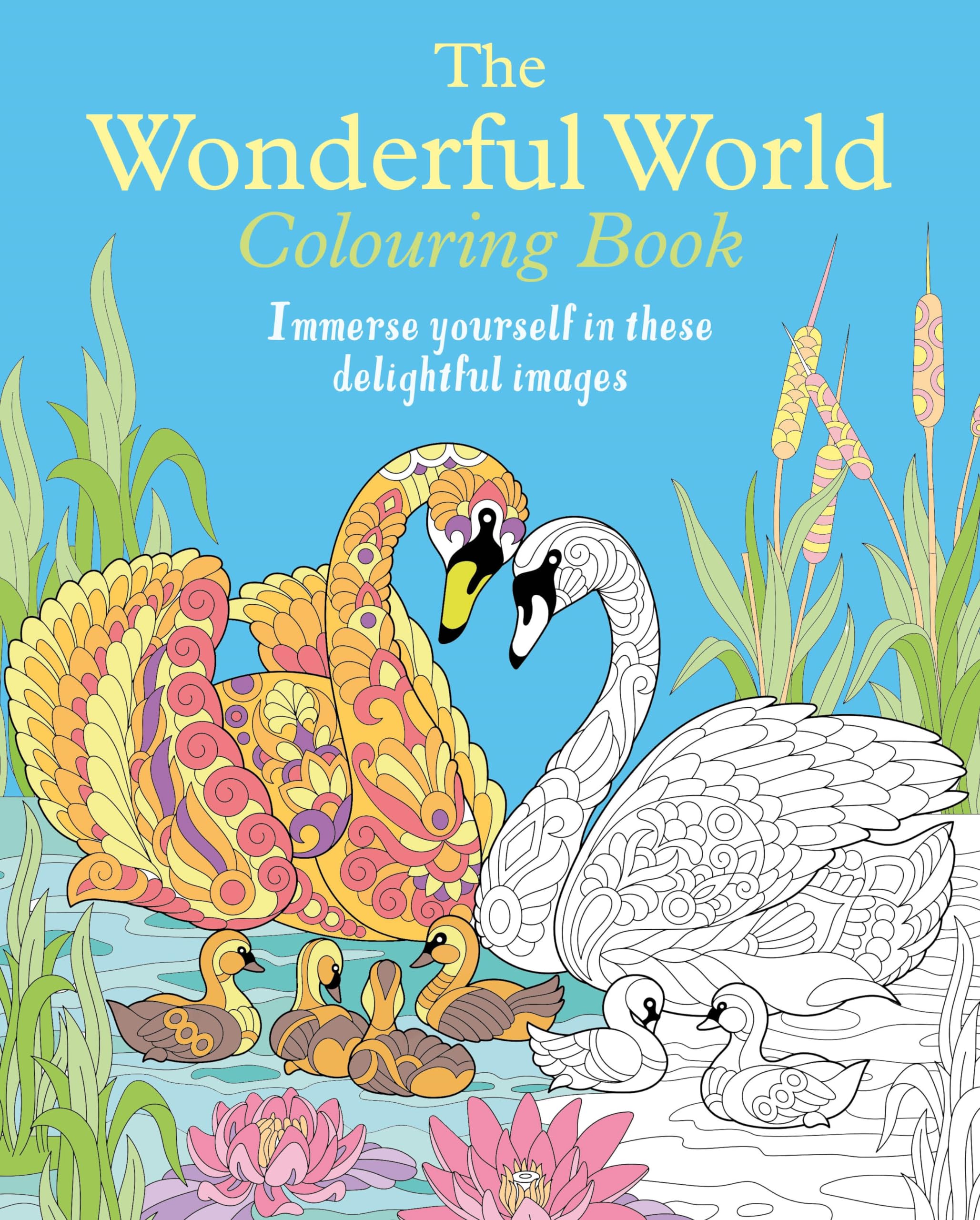 The Wonderful World Colouring Book: Immerse yourself in these delightful images (Arcturus Creative Colouring) Hobbies & Crafts