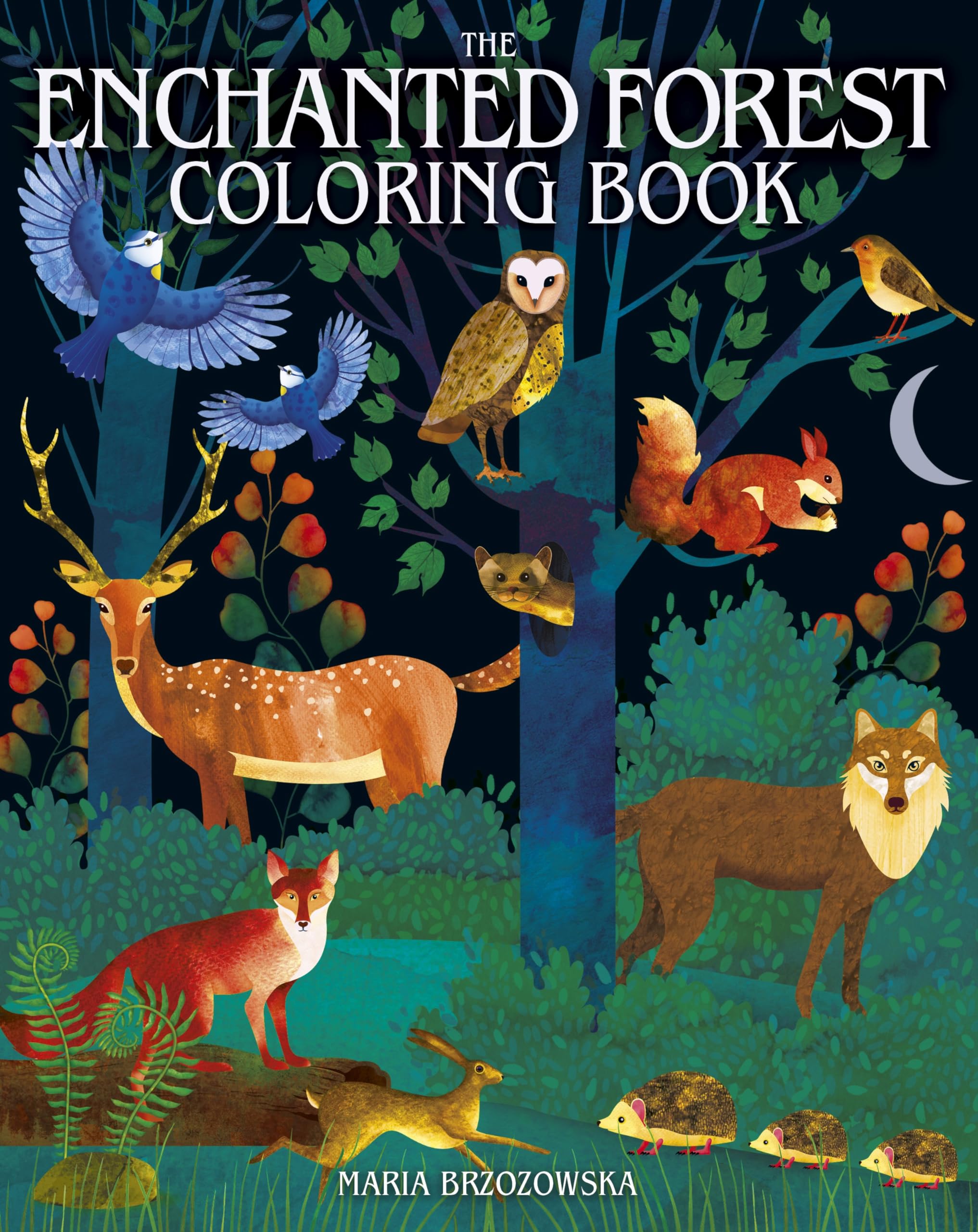 The Enchanted Forest Coloring Book Film, Art & Culture