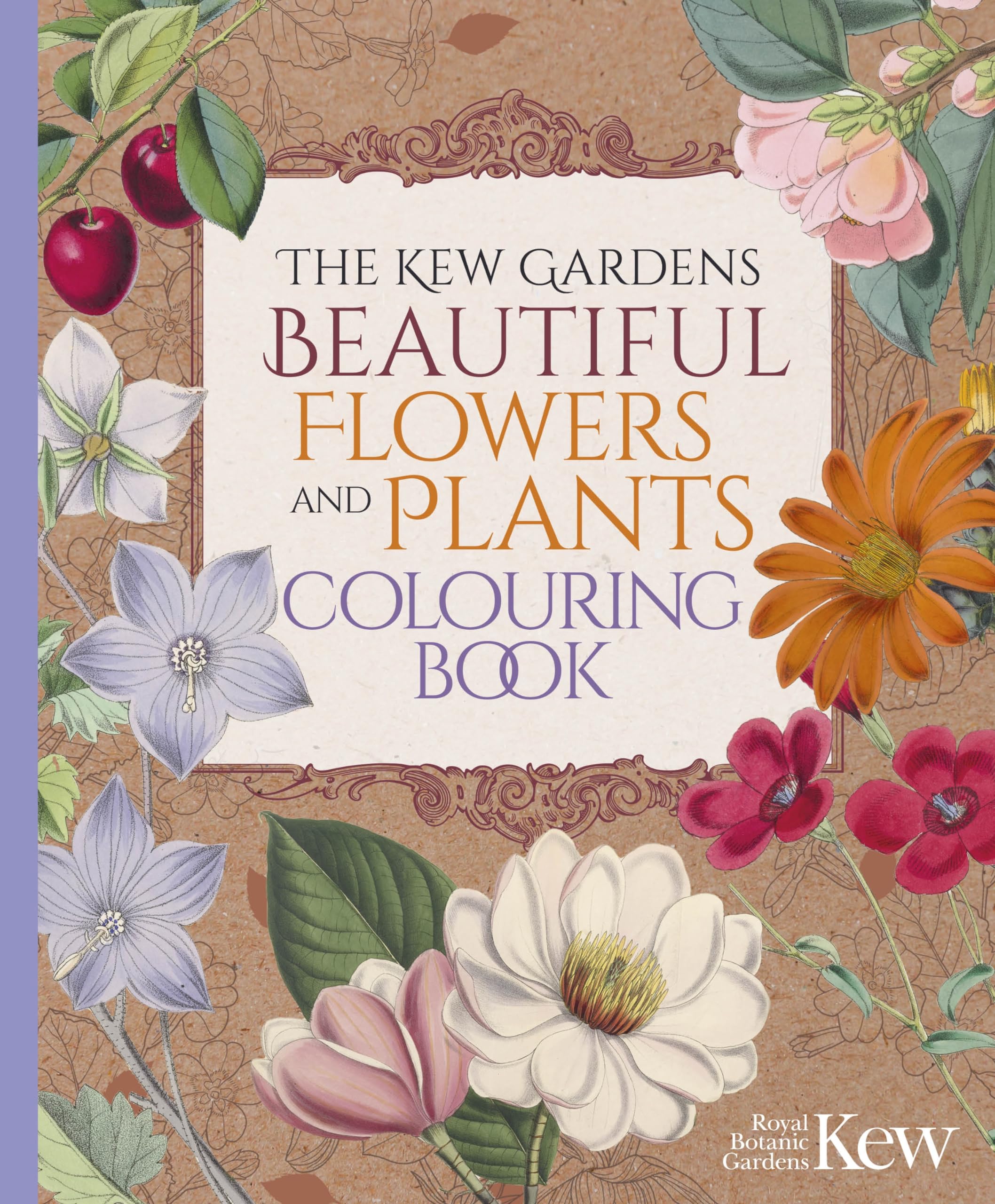 The Kew Gardens Beautiful Flowers and Plants Colouring Book (Kew Gardens Arts & Activities) Film, Art & Culture