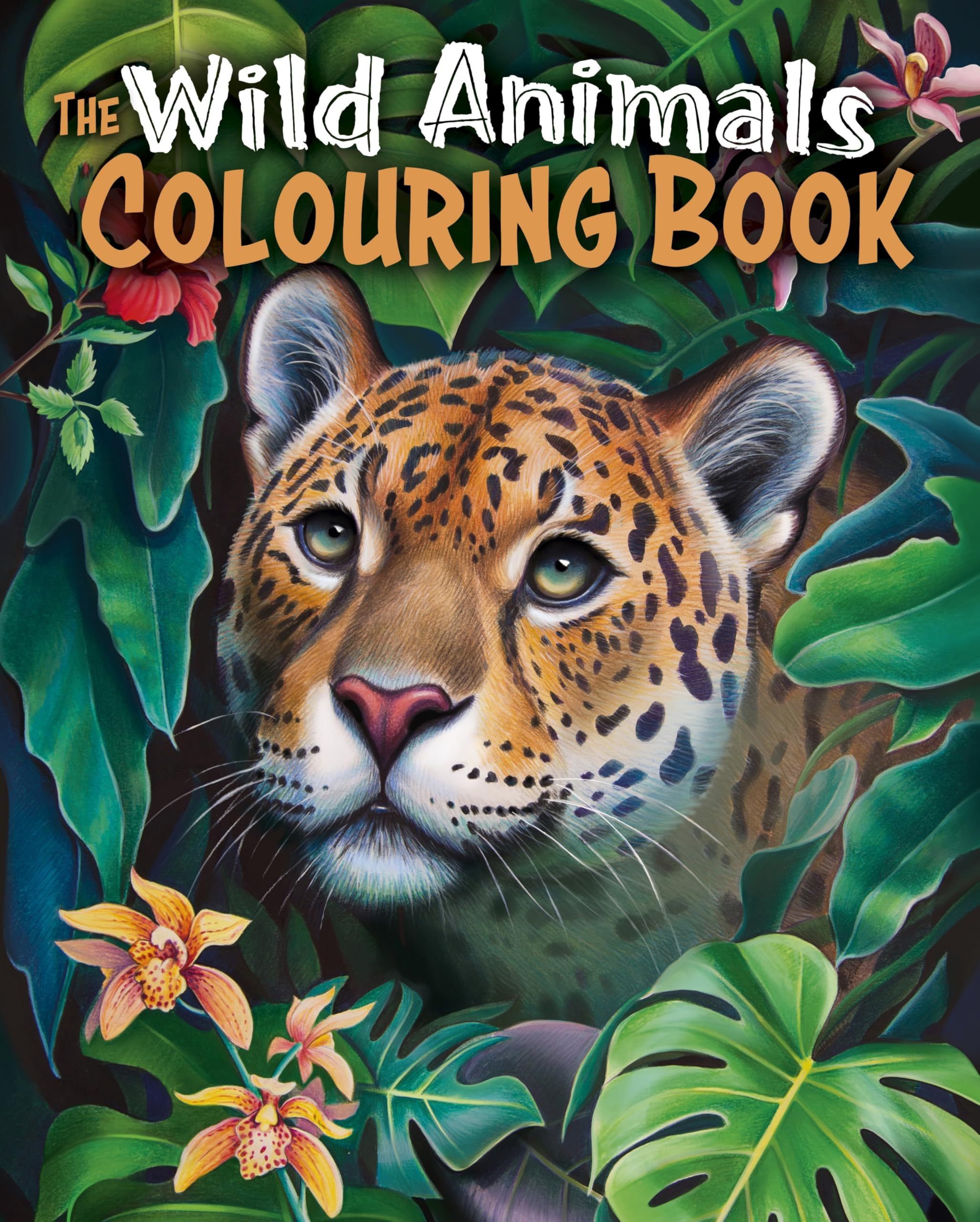 The Wild Animals Colouring Book: Over 45 Images to Colour (Arcturus Creative Colouring) Hobbies & Crafts