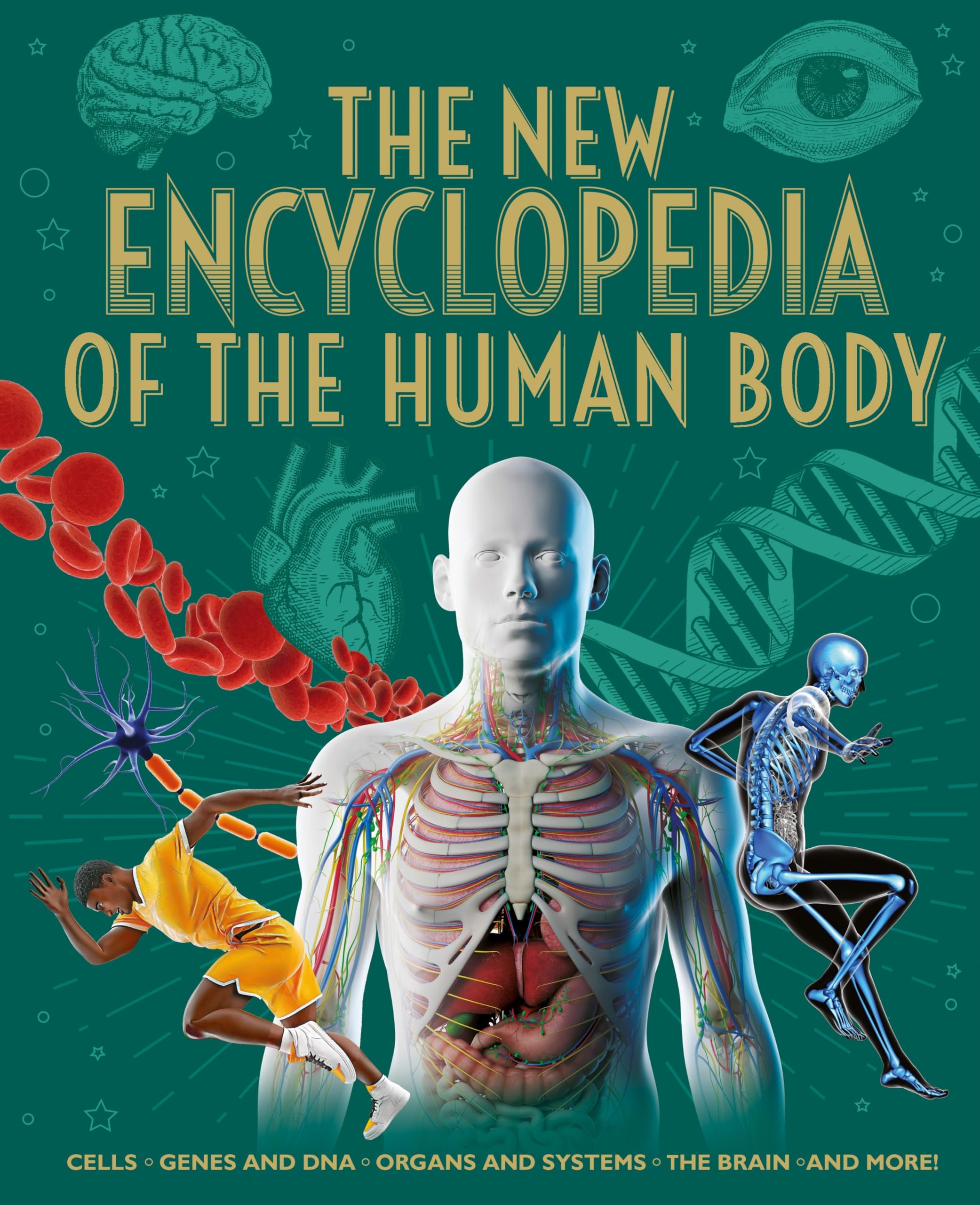 The New Encyclopedia of the Human Body: Cells, Genes and DNA, Organs and Systems, the Brain, and More! (Arcturus New Encyclopedias) Non-fiction