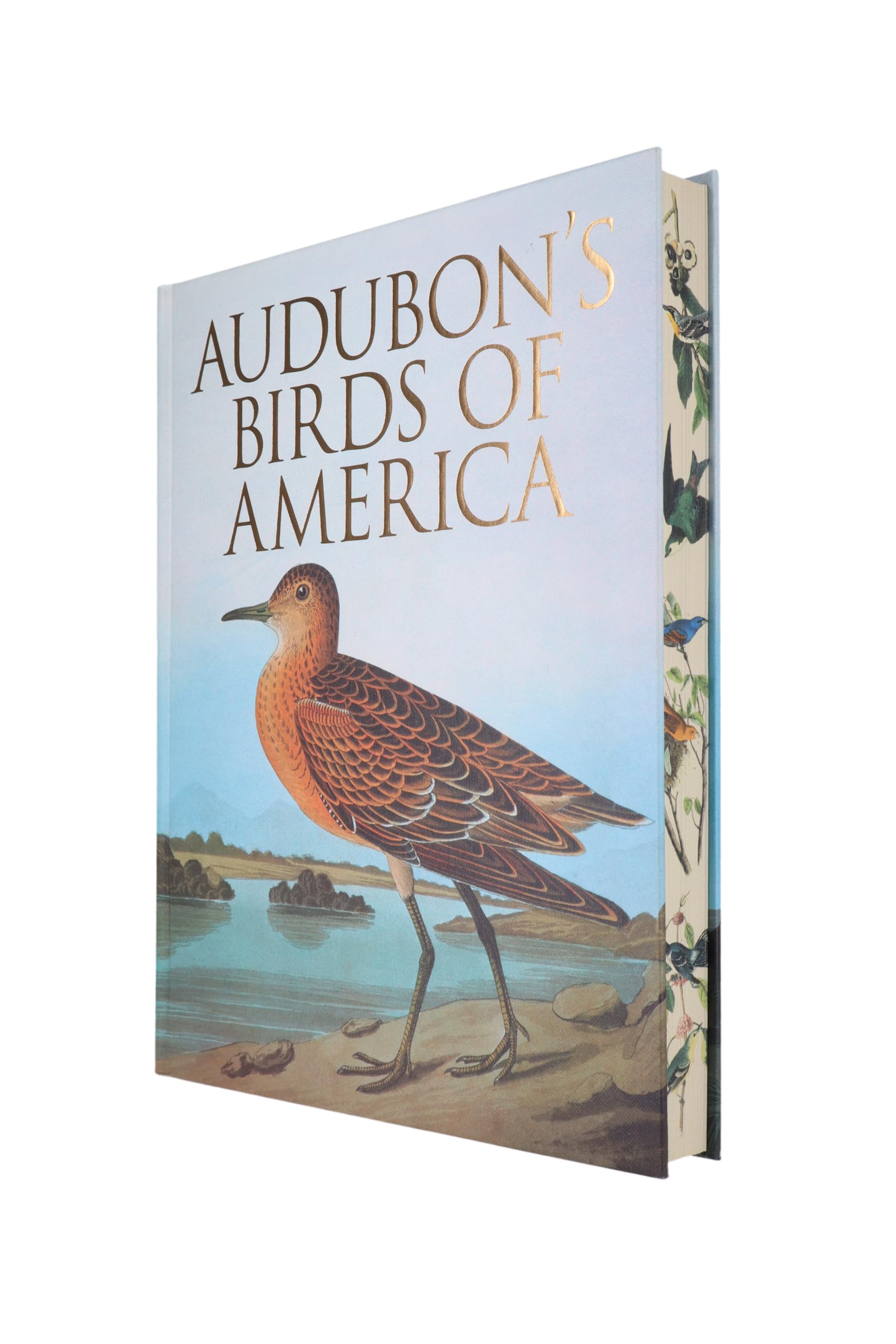 Audubon's Birds of America (Arcturus Epic Classics) Mathematics