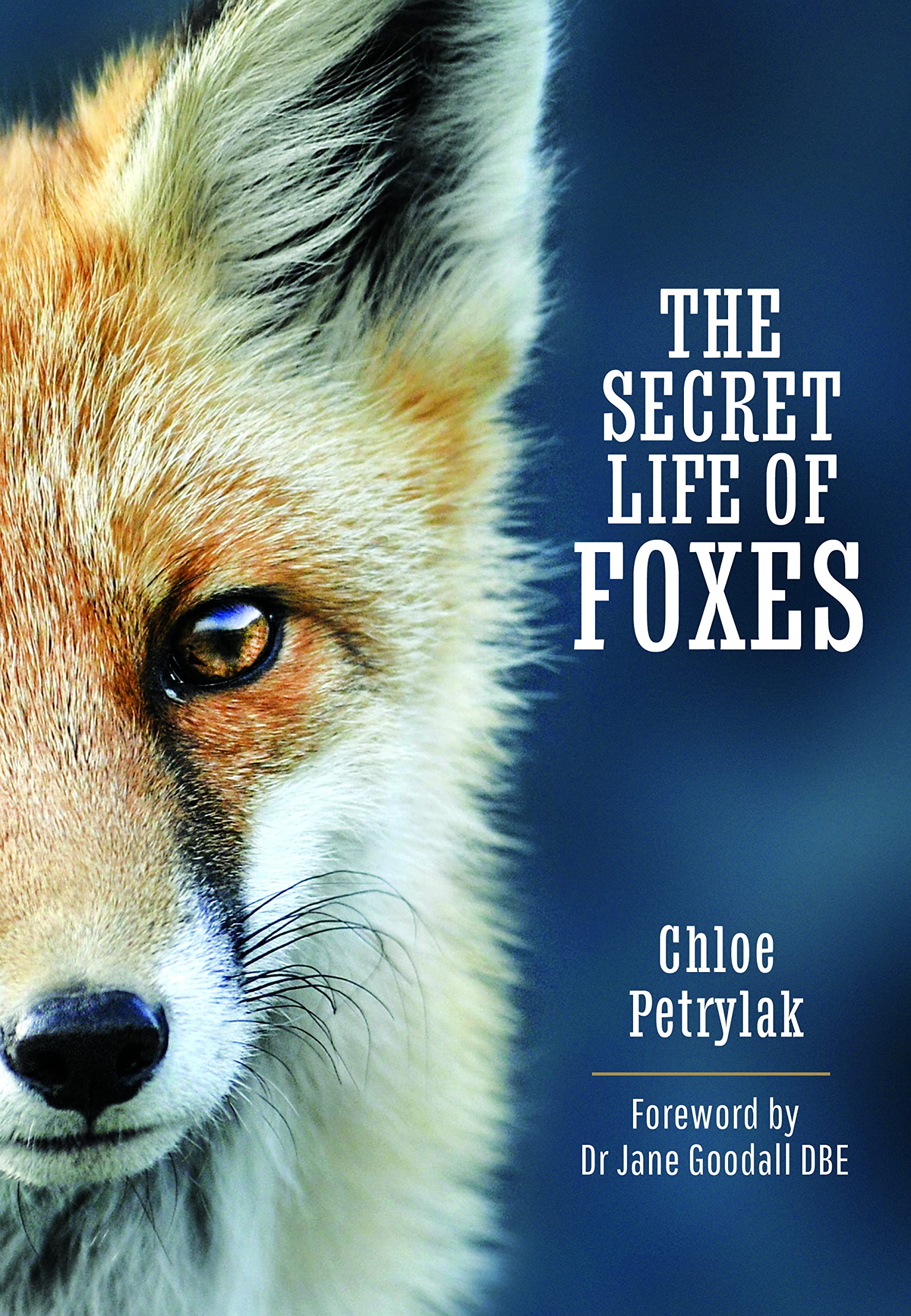 The Secret Life of Foxes Mathematics