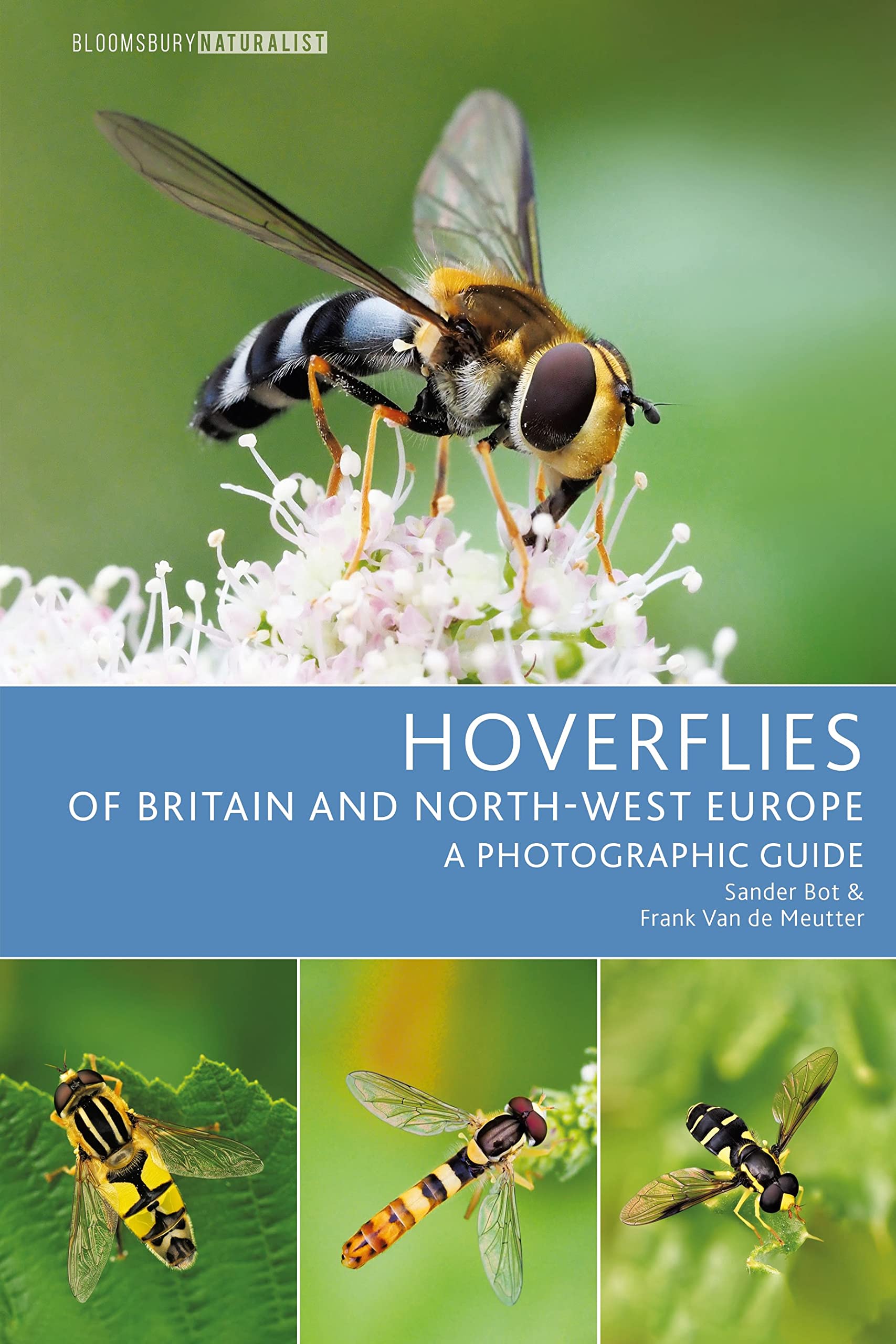 Hoverflies of Britain and North-west Europe: A photographic guide (Bloomsbury Naturalist) Mathematics