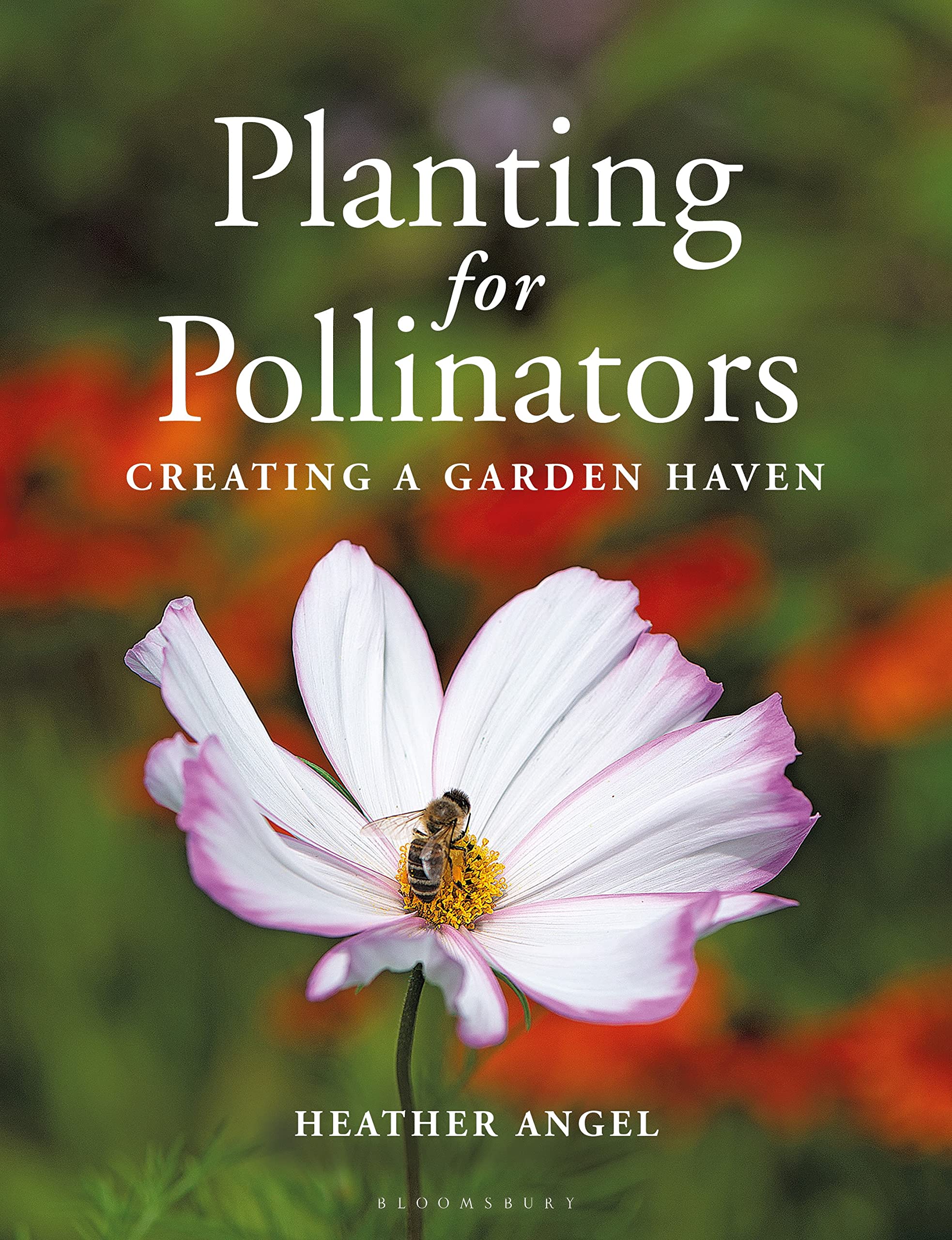 Planting for Pollinators: Creating a Garden Haven Business, Finance & Career