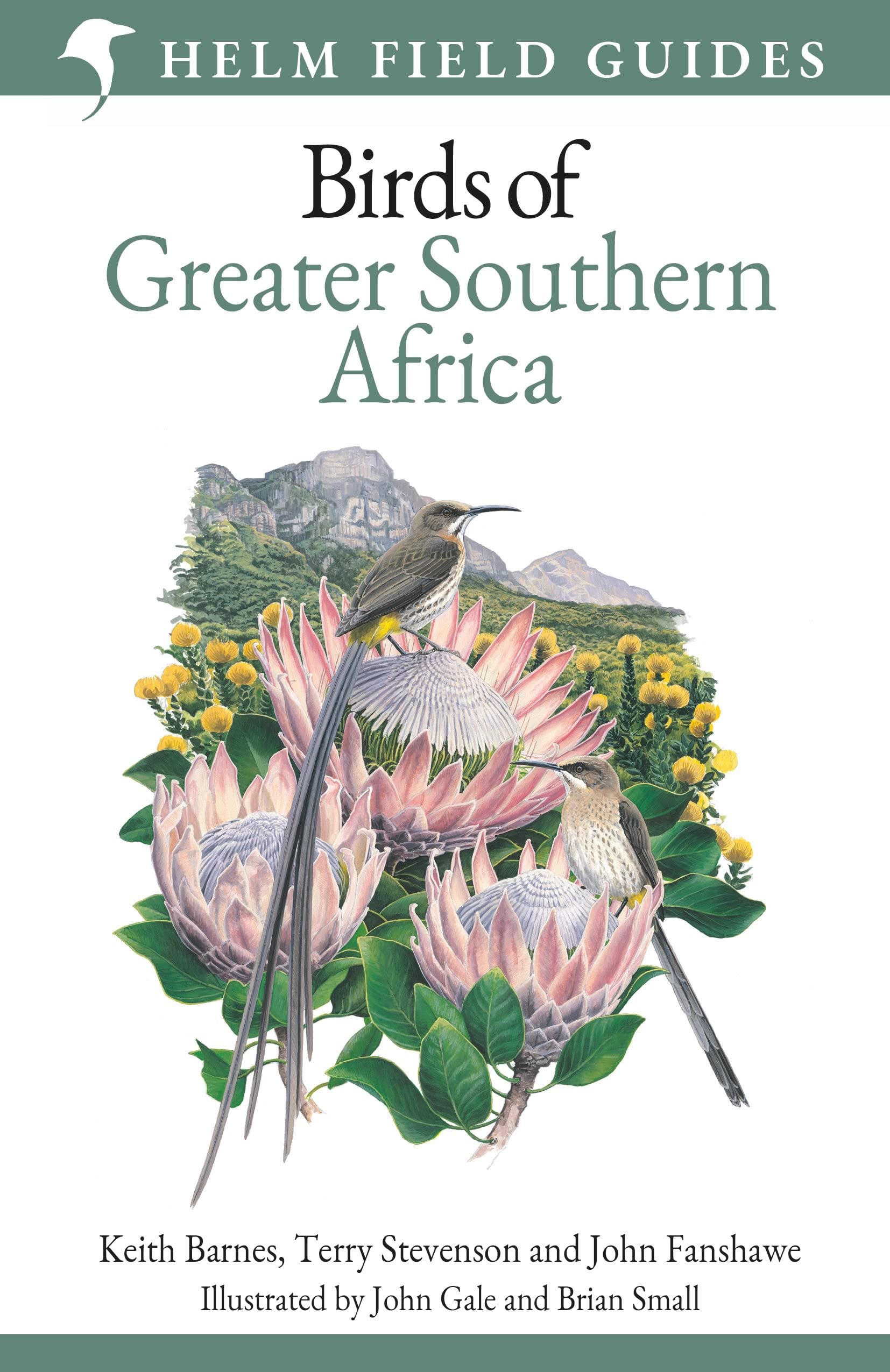 Field Guide to Birds of Greater Southern Africa (Helm Field Guides) Mathematics