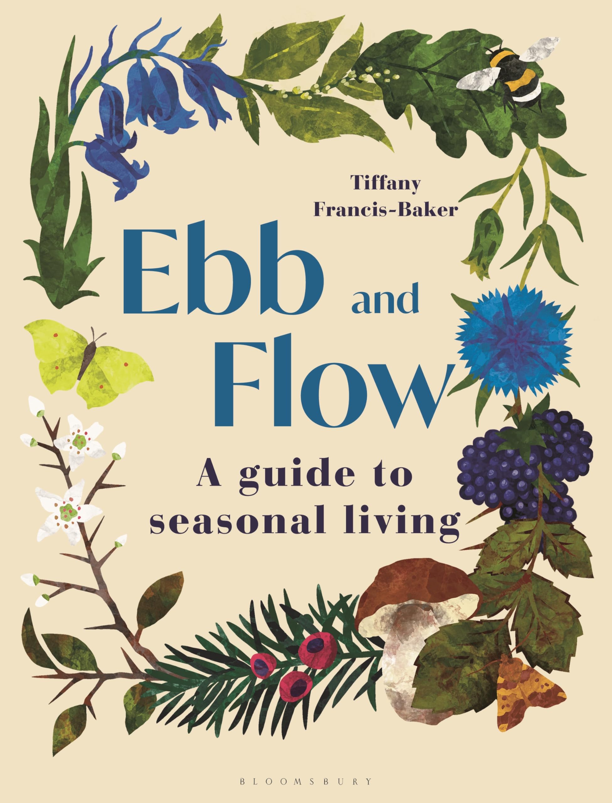 Ebb and Flow Geology & Geography