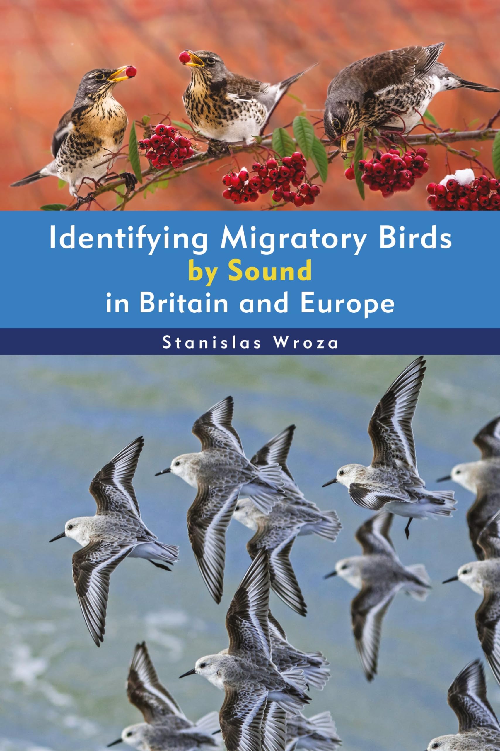 Identifying Migratory Birds by Sound in Britain and Europe (Helm Identification Guides) Mathematics
