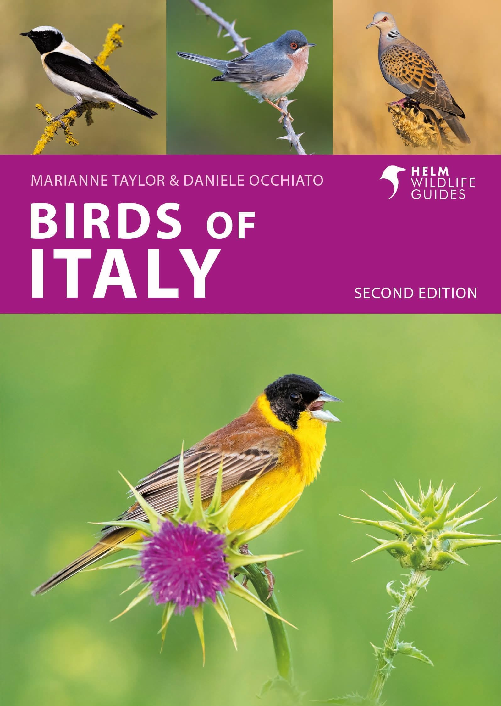 Birds of Italy: Second Edition (Helm Wildlife Guides) Mathematics