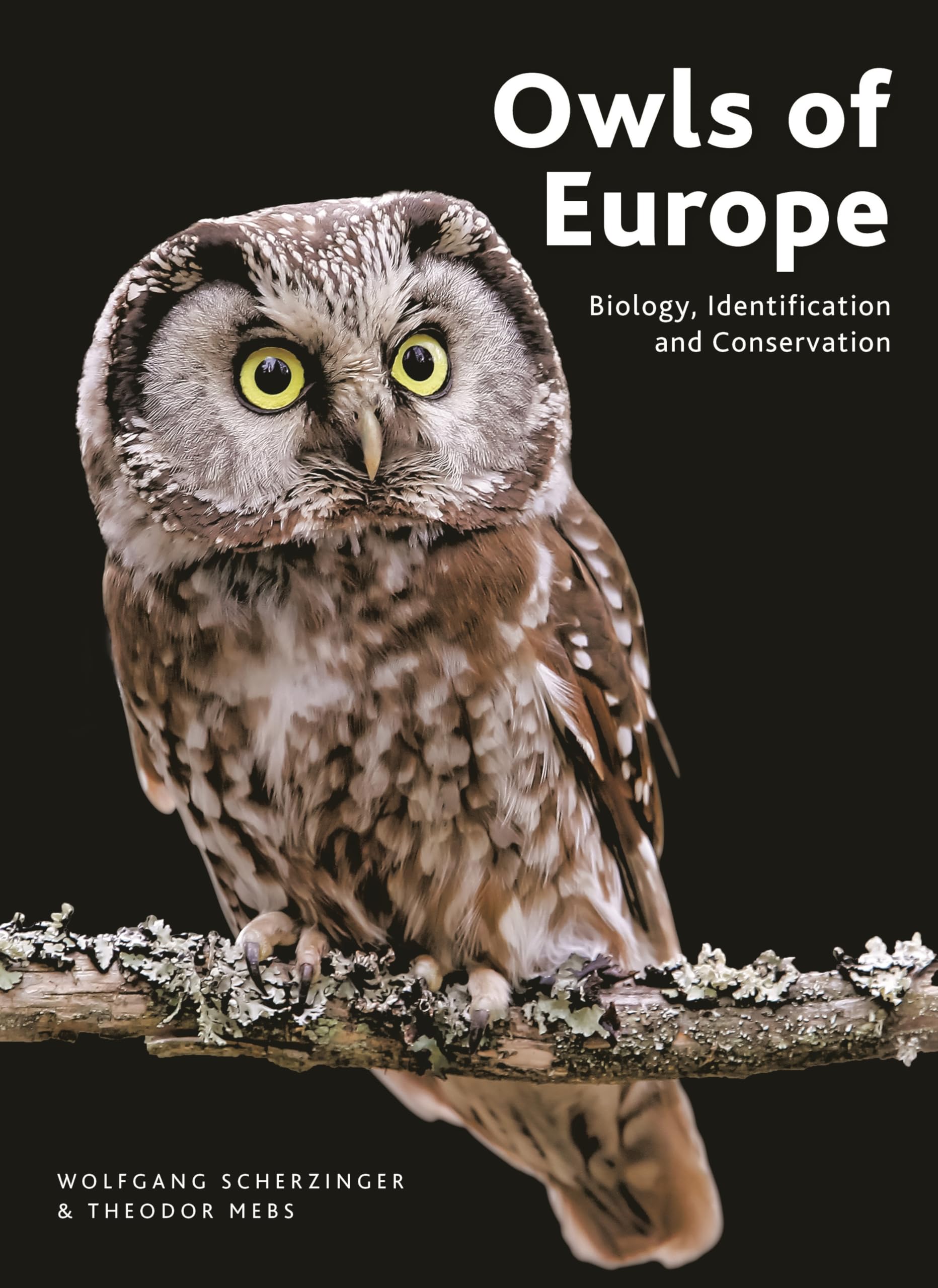 Owls of Europe: Biology, Identification and Conservation Mathematics