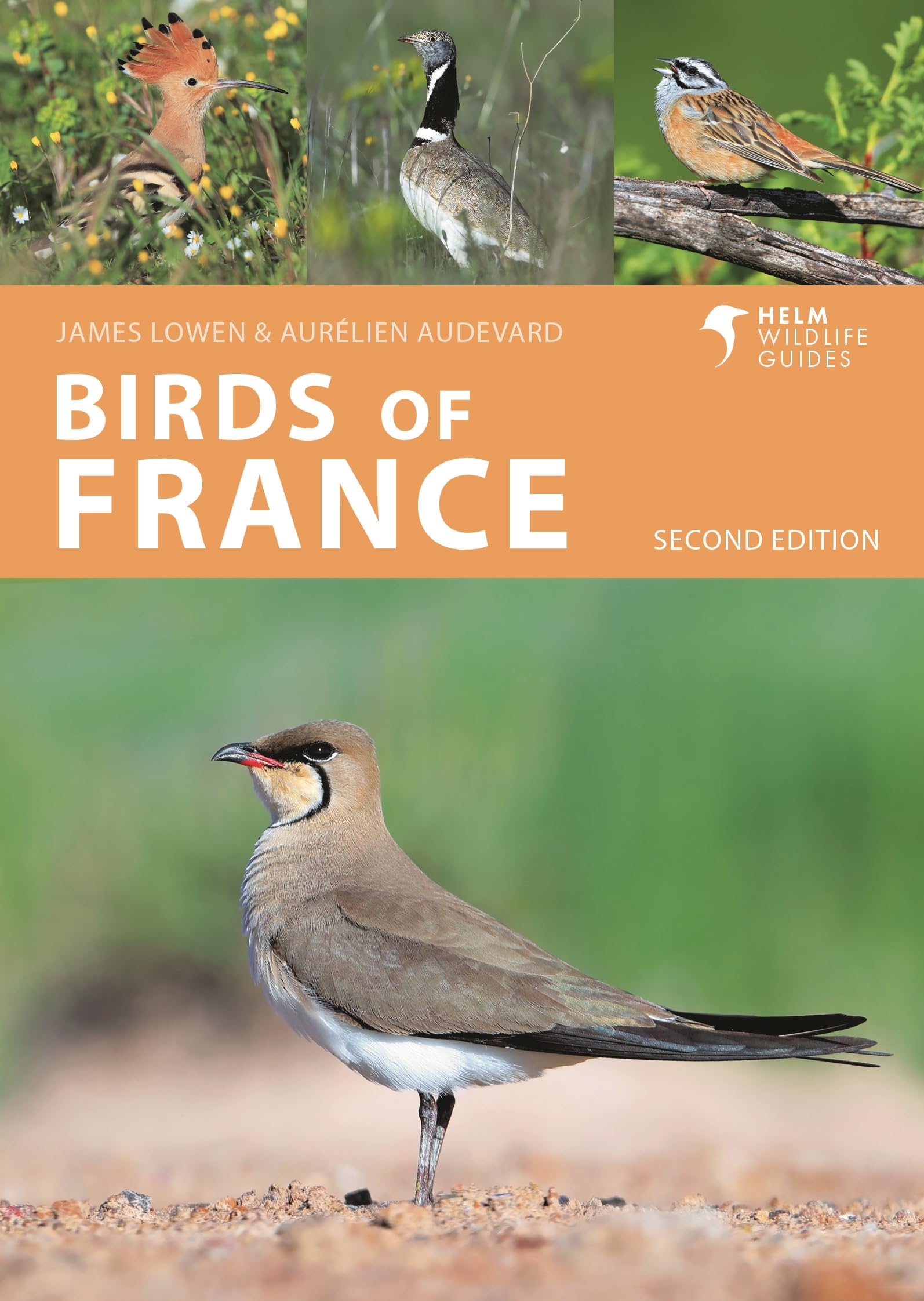 Birds of France: Second Edition (Helm Wildlife Guides) Mathematics