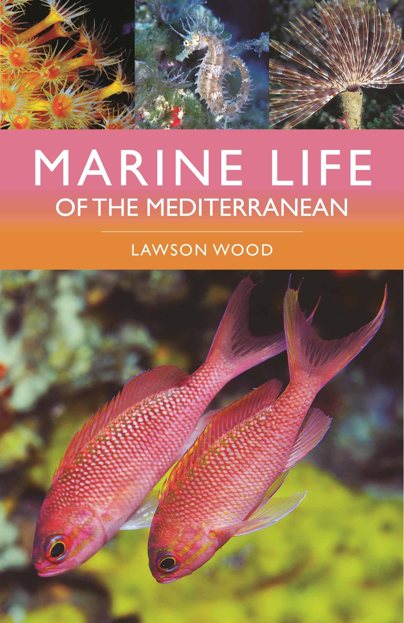 Marine Life of the Mediterranean Geology & Geography