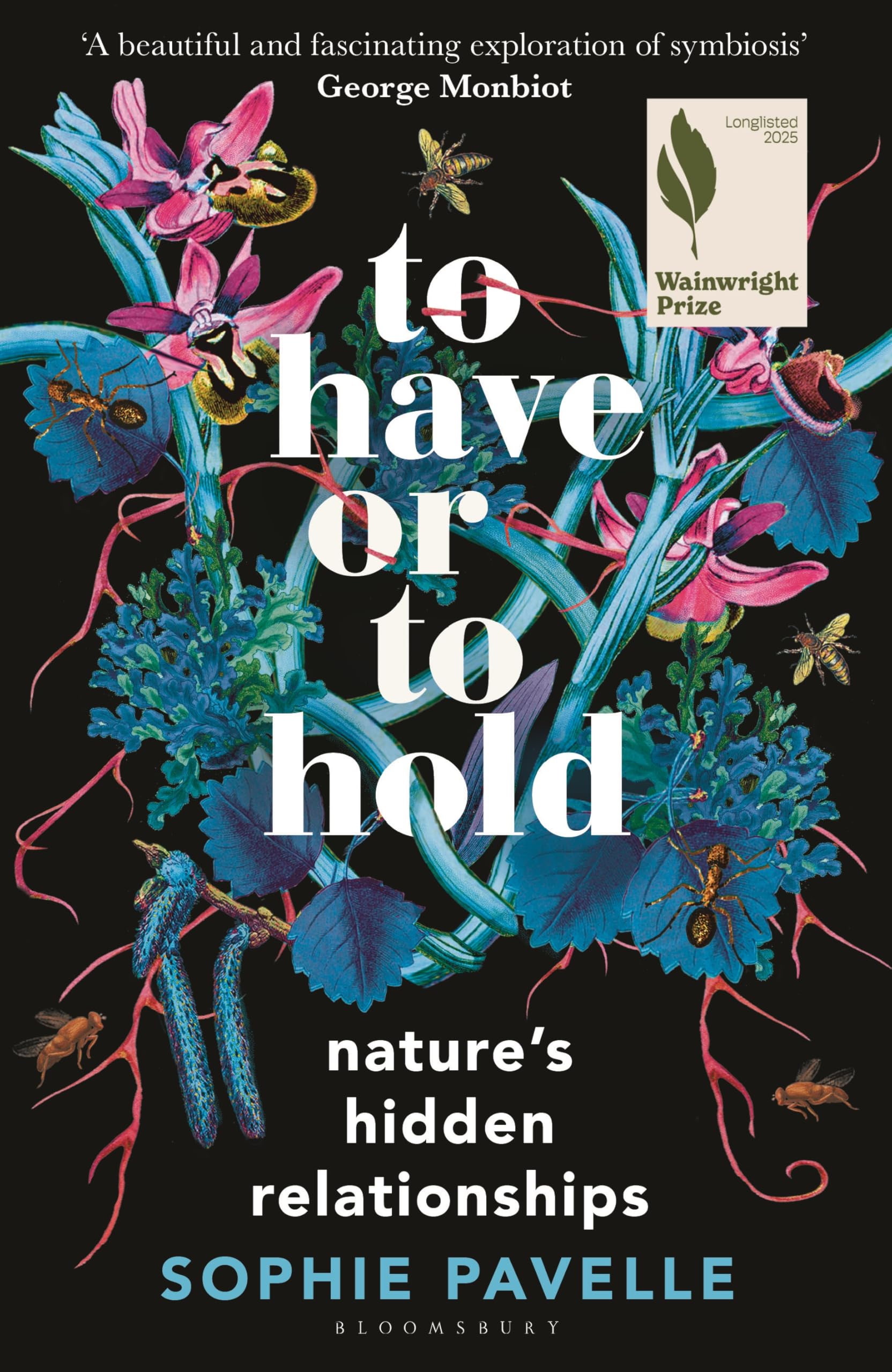 To Have or To Hold: Nature's Hidden Relationships Mathematics