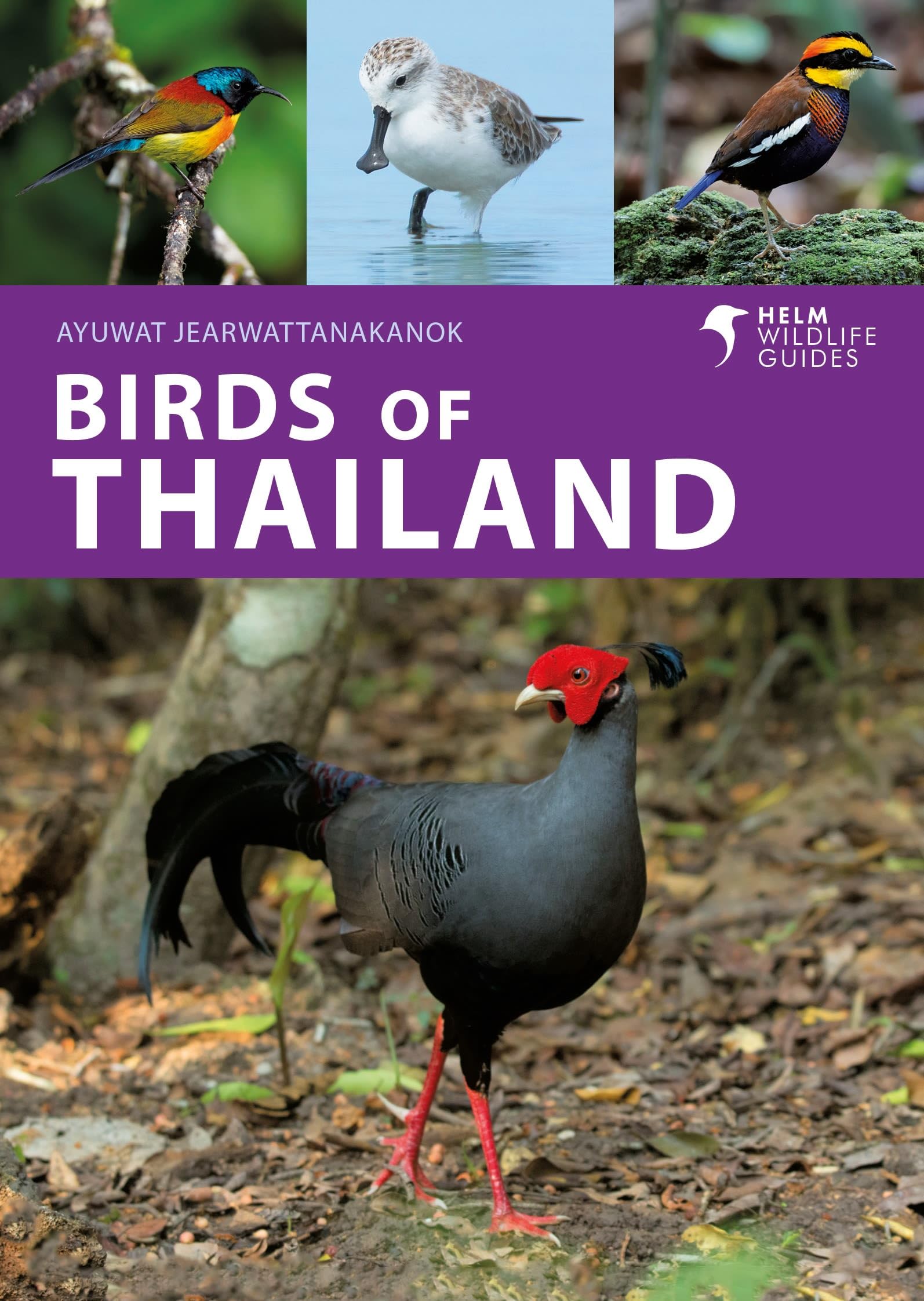 Birds of Thailand (Helm Wildlife Guides) Mathematics