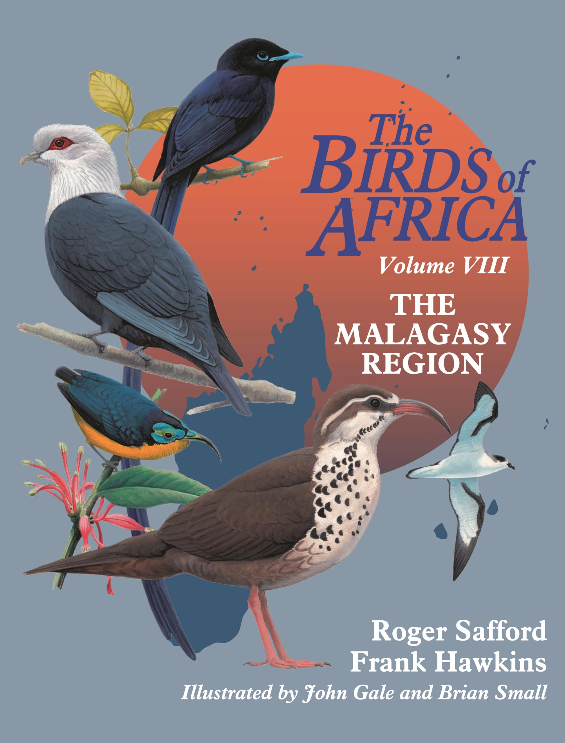 The Birds of Africa: Volume VIII: The Malagasy Region: Madagascar, Seychelles, Comoros, Mascarenes Mathematics