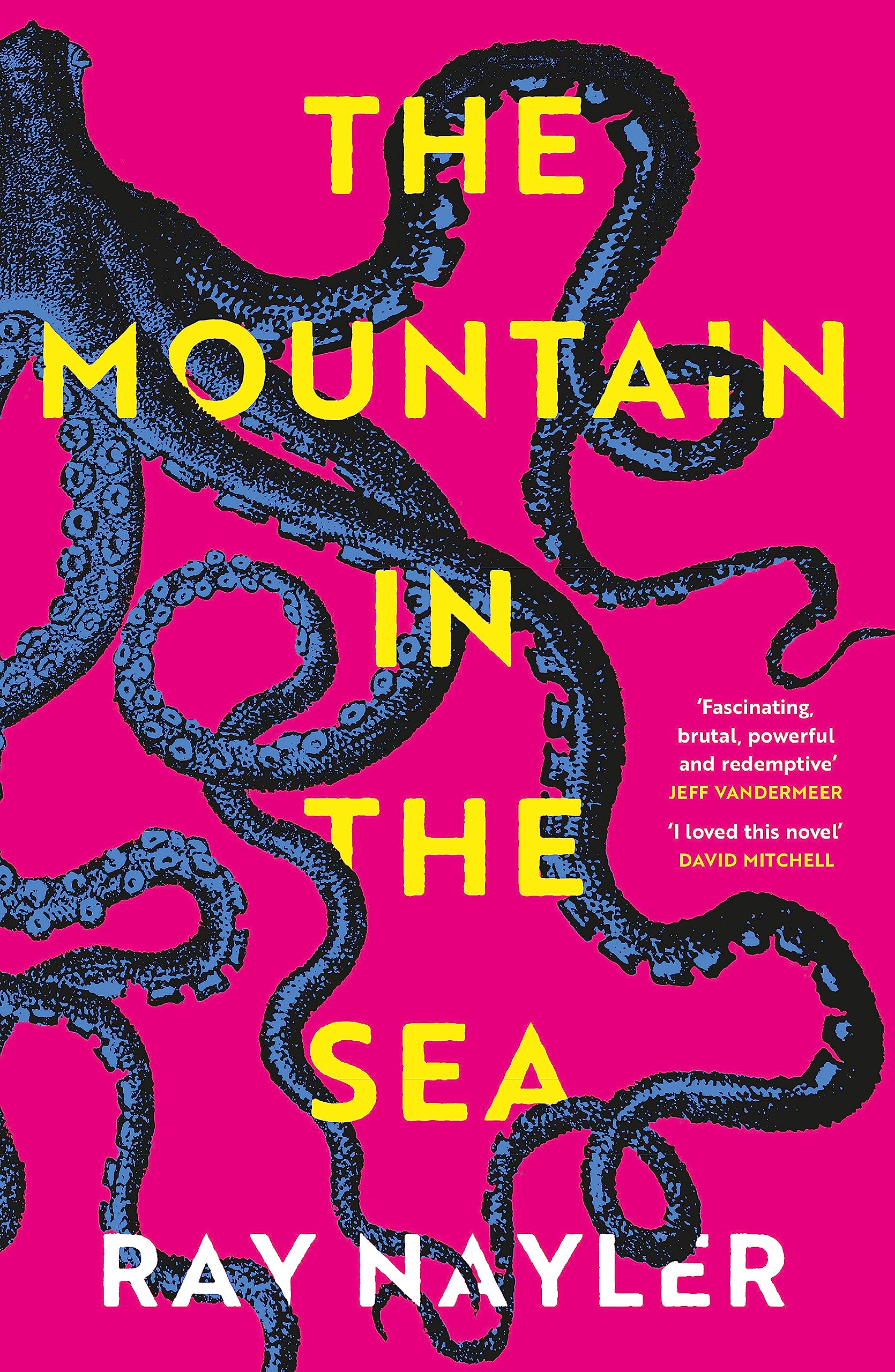 The Mountain in the Sea Contemporary literature