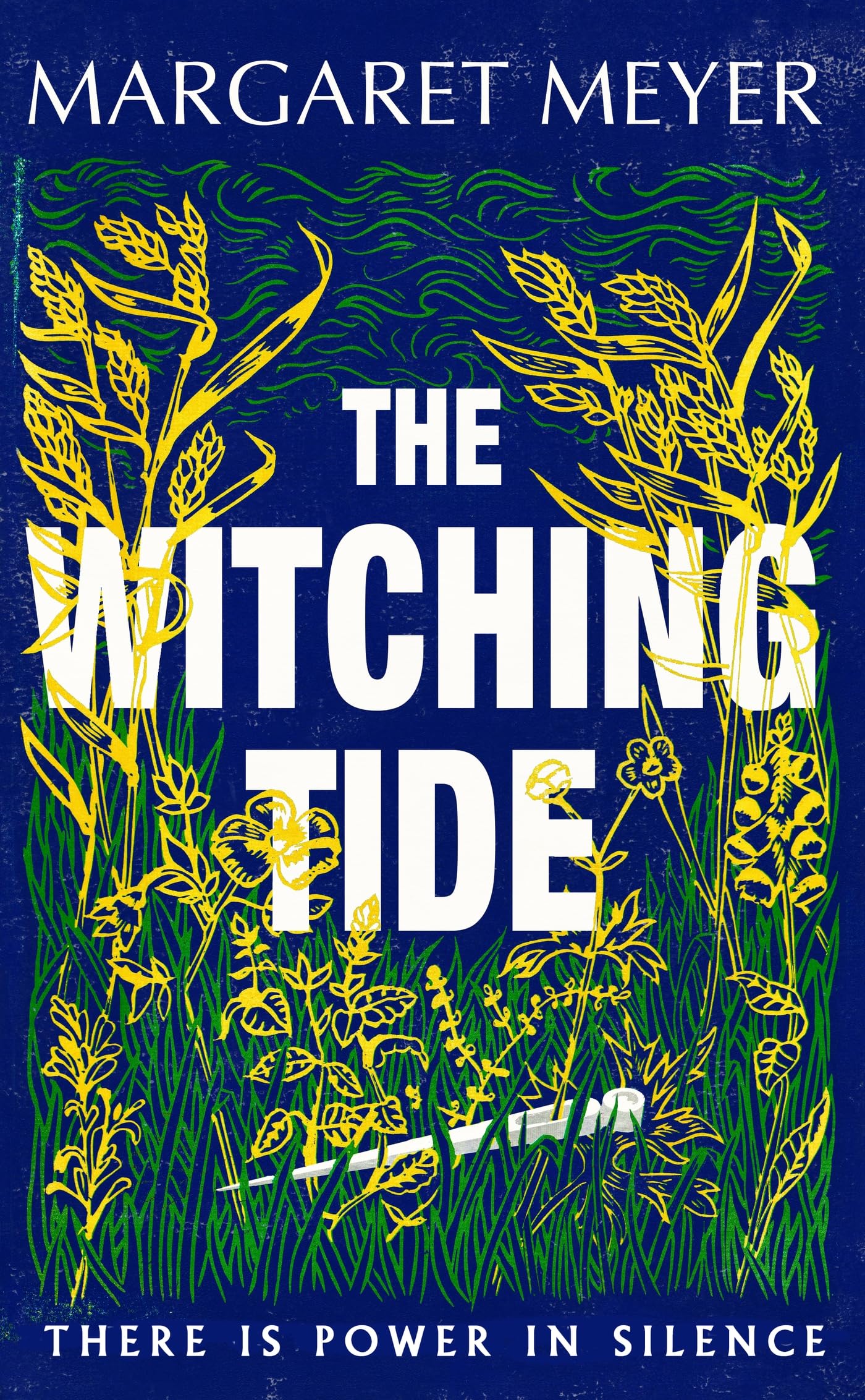 The Witching Tide Contemporary literature Books