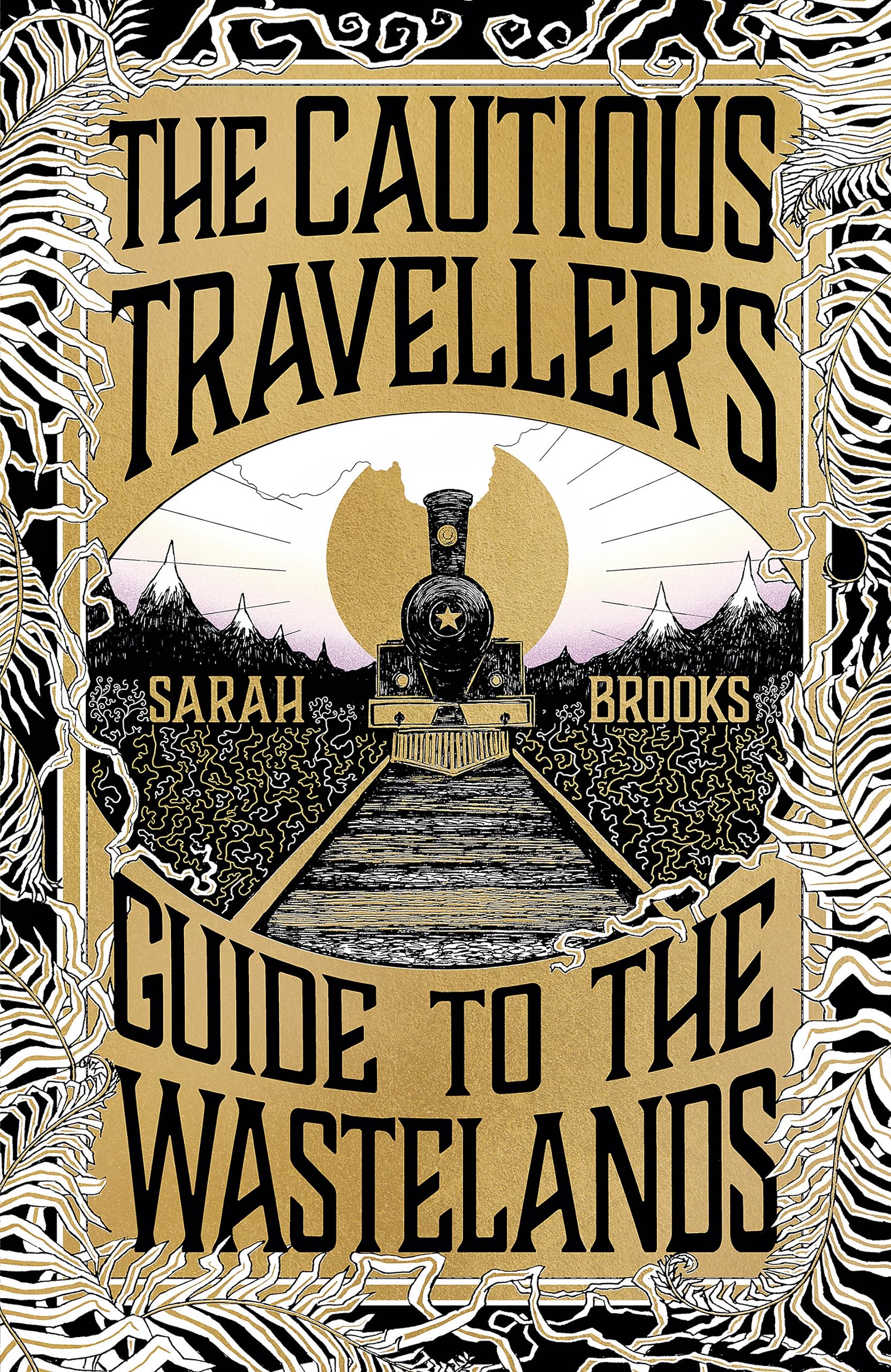 The Cautious Traveller's Guide to The Wastelands: THE INSTANT SUNDAY TIMES BESTSELLER Historical Fiction