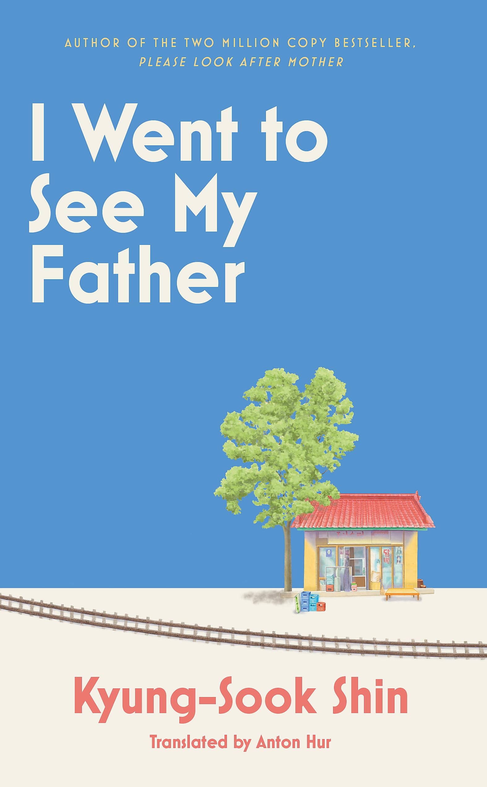I Went to See My Father book