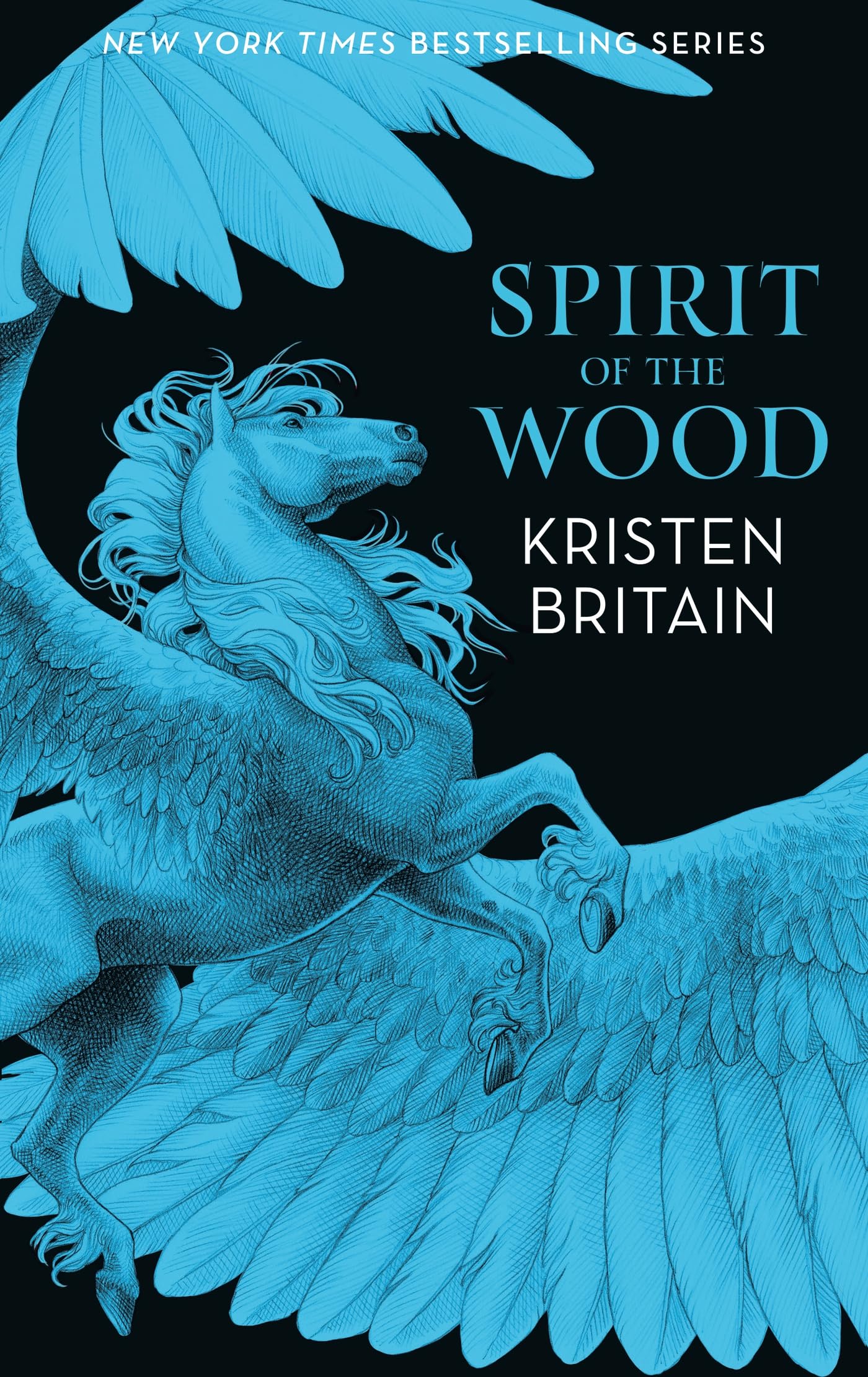 Spirit of the Wood book