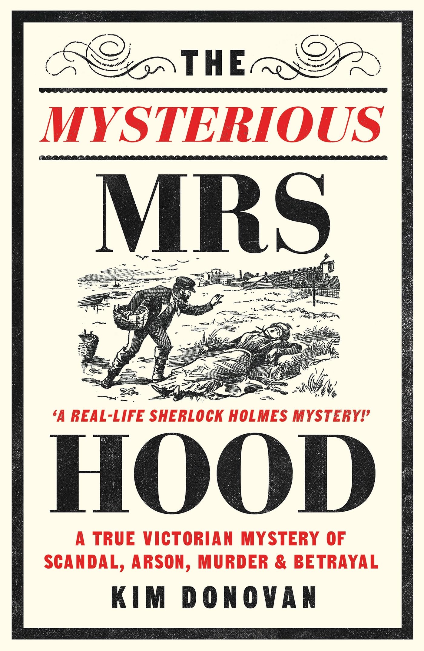 The Mysterious Mrs Hood: A True Victorian Mystery of Scandal, Arson, Murder & Betrayal book