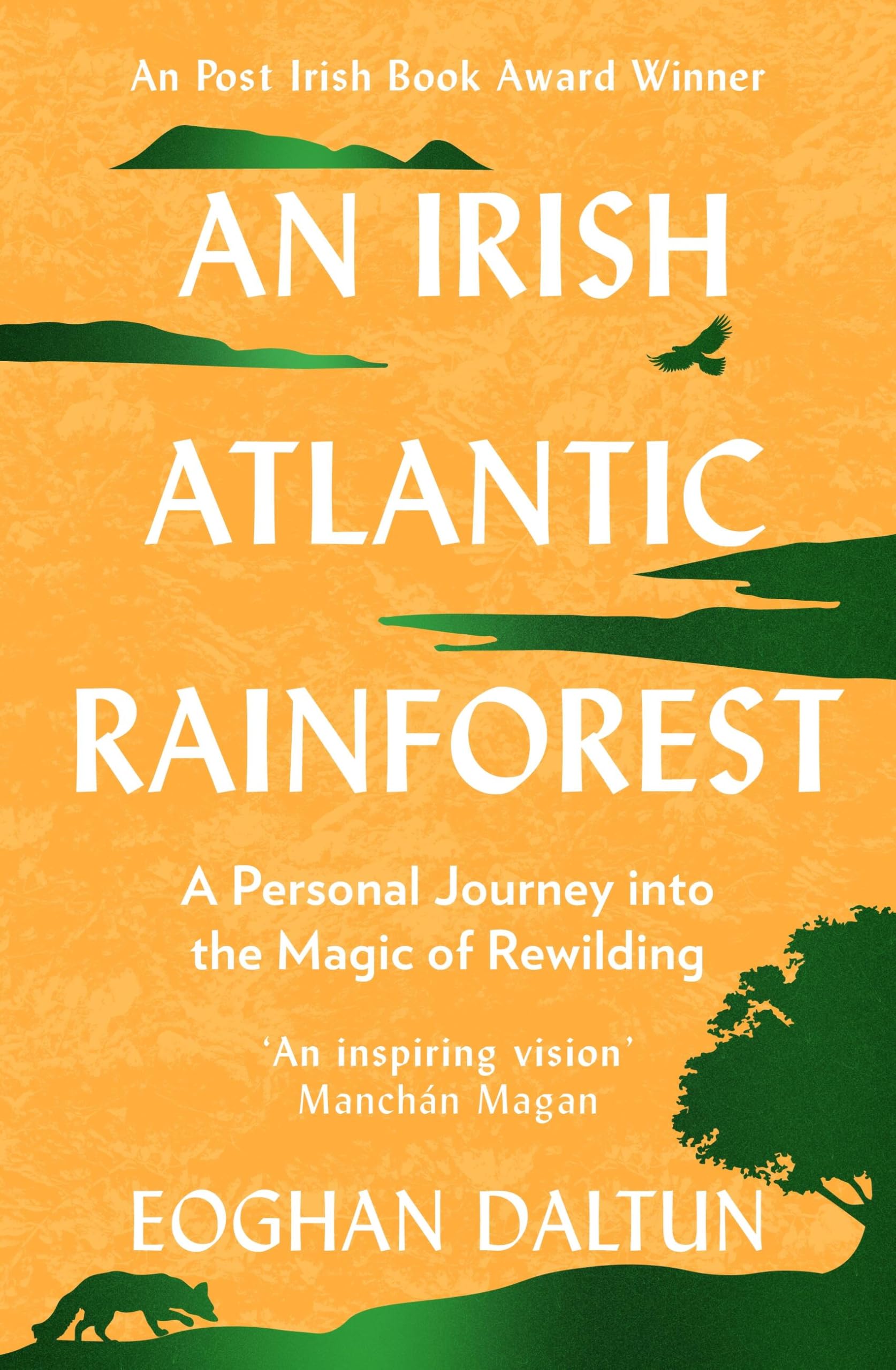 An Irish Atlantic Rainforest: A Personal Journey into the Magic of Rewilding Memories