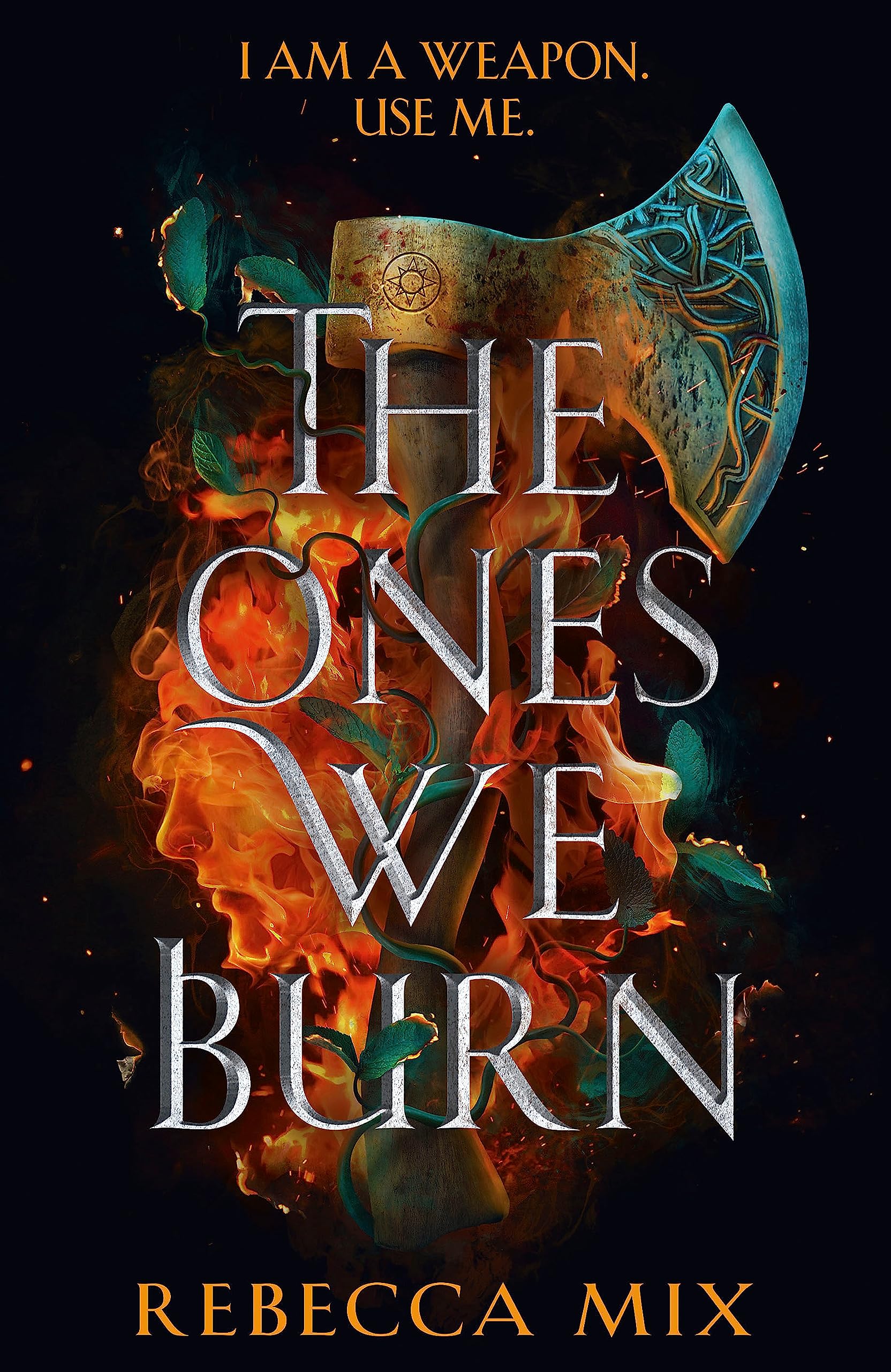 The Ones We Burn: the New York Times bestselling dark epic young adult fantasy Dark Fantasy