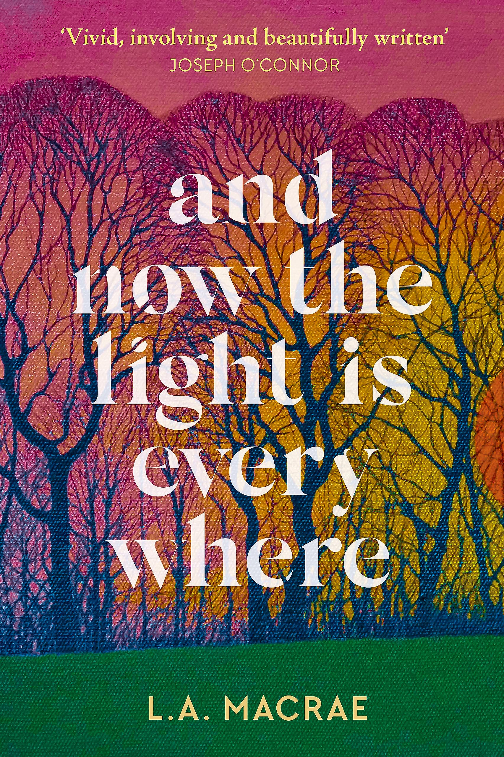 And Now the Light is Everywhere: A stunning debut novel of family secrets and redemption Contemporary literature