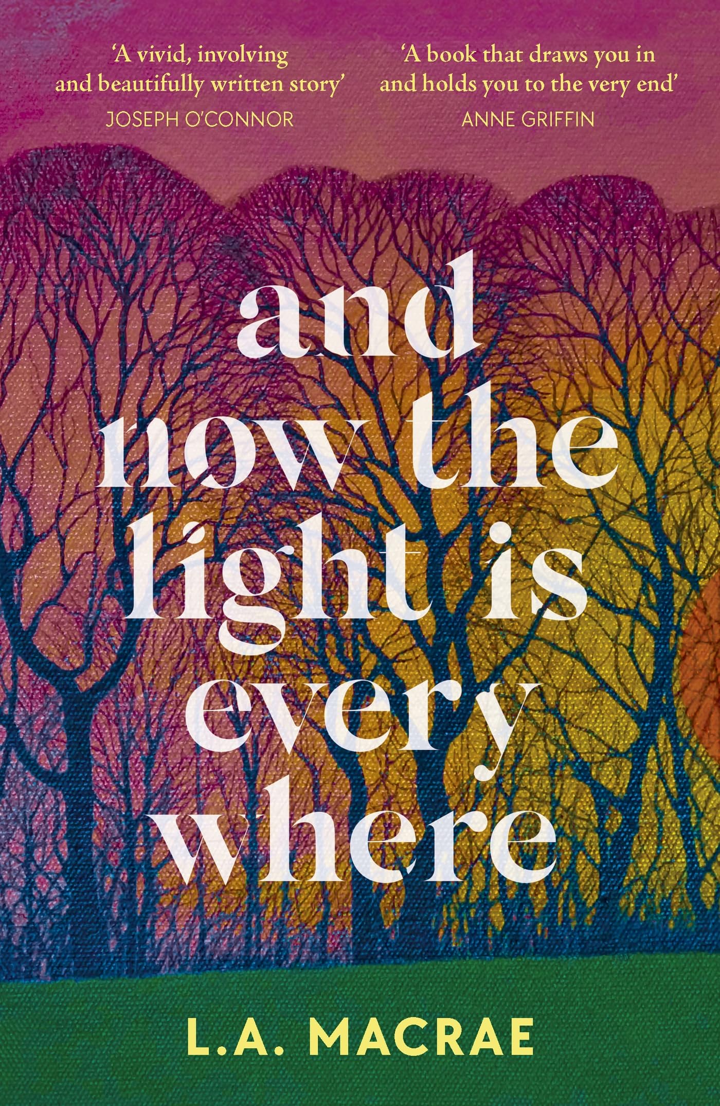 And Now the Light is Everywhere: A stunning debut novel of family secrets and redemption Contemporary literature