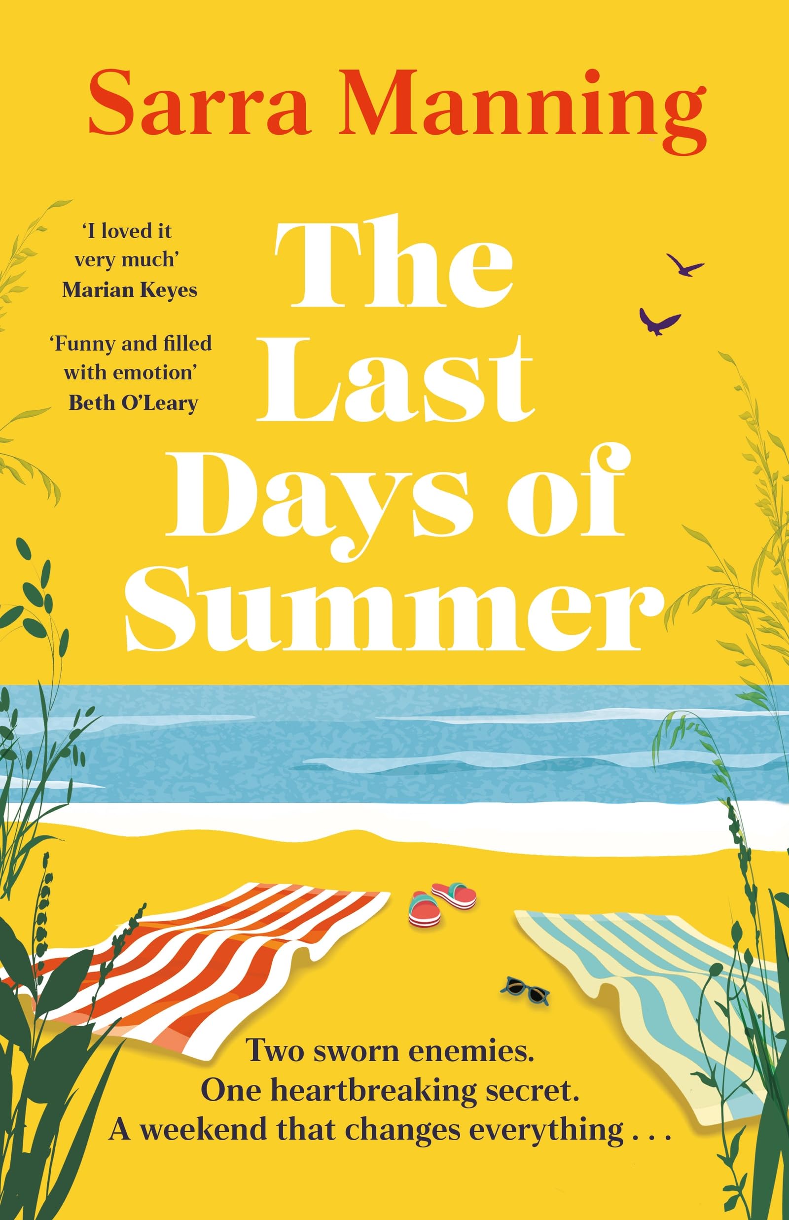 The Last Days of Summer: The emotional, funny, spicy and romantic new enemies-to-lovers rom-com for 2025 that will make you wish for a long British summer seaside weekend Contemporary literature