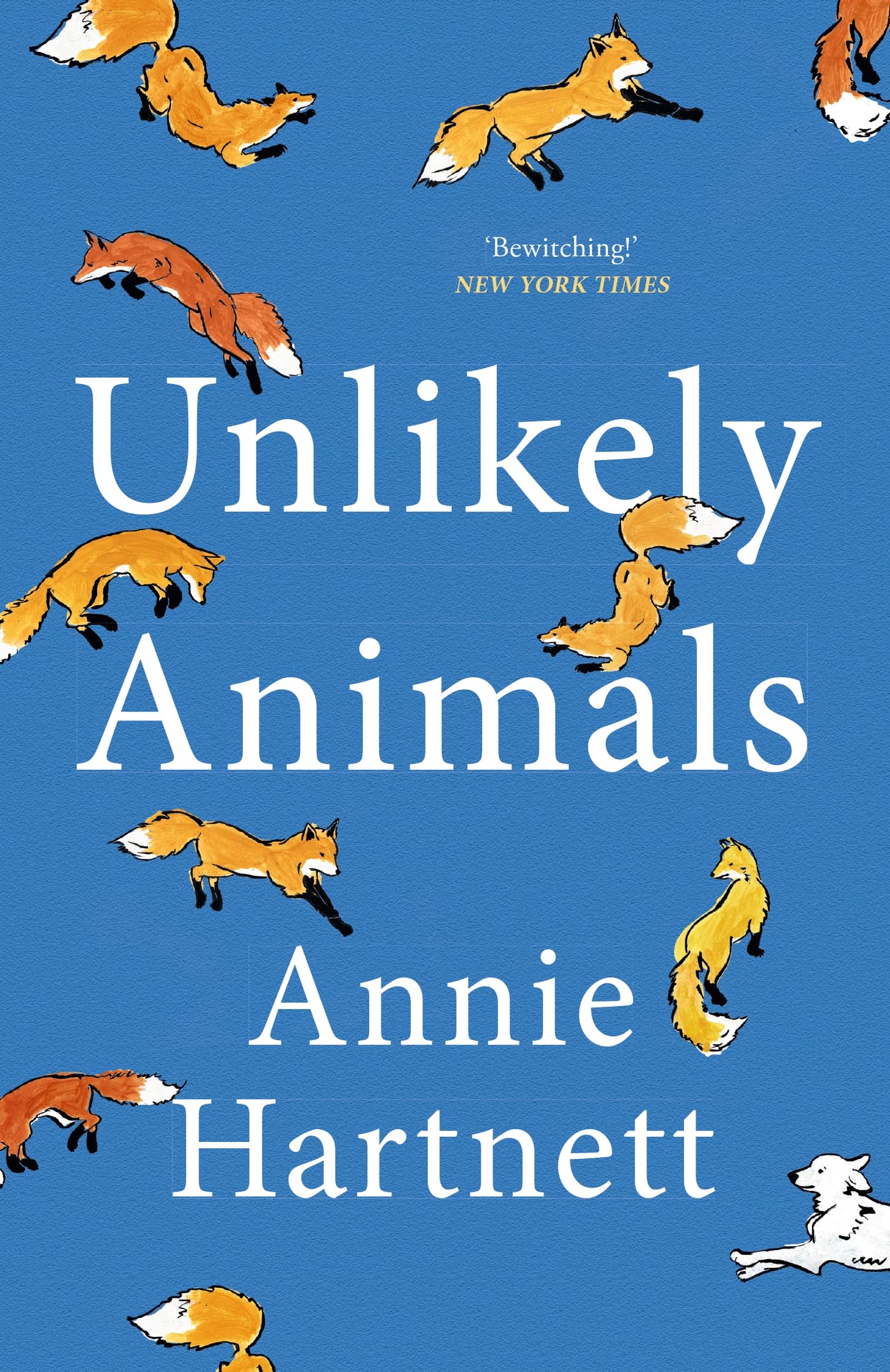 Product Image: Unlikely Animals