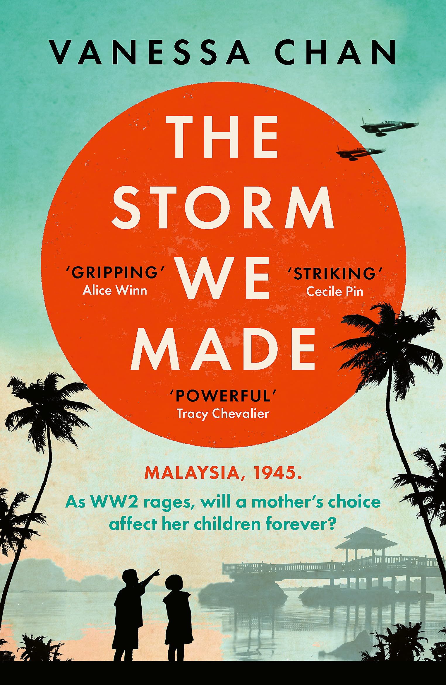 The Storm We Made Social Sciences Books