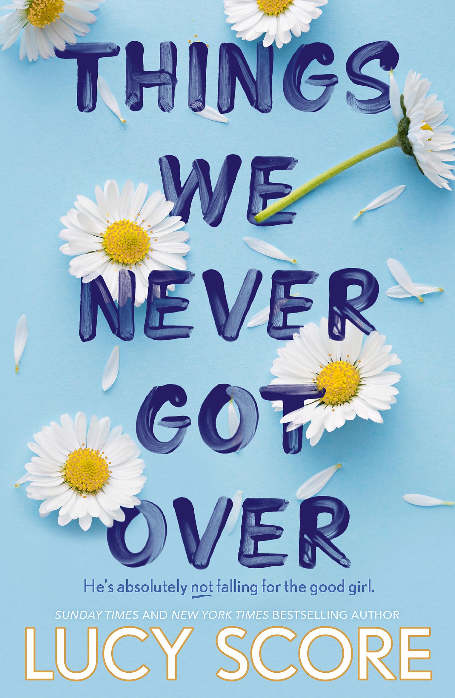 Things We Never Got Over book