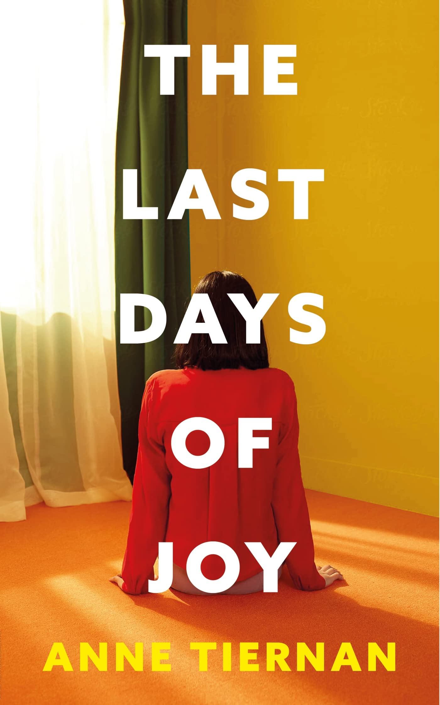 The Last Days of Joy Contemporary literature