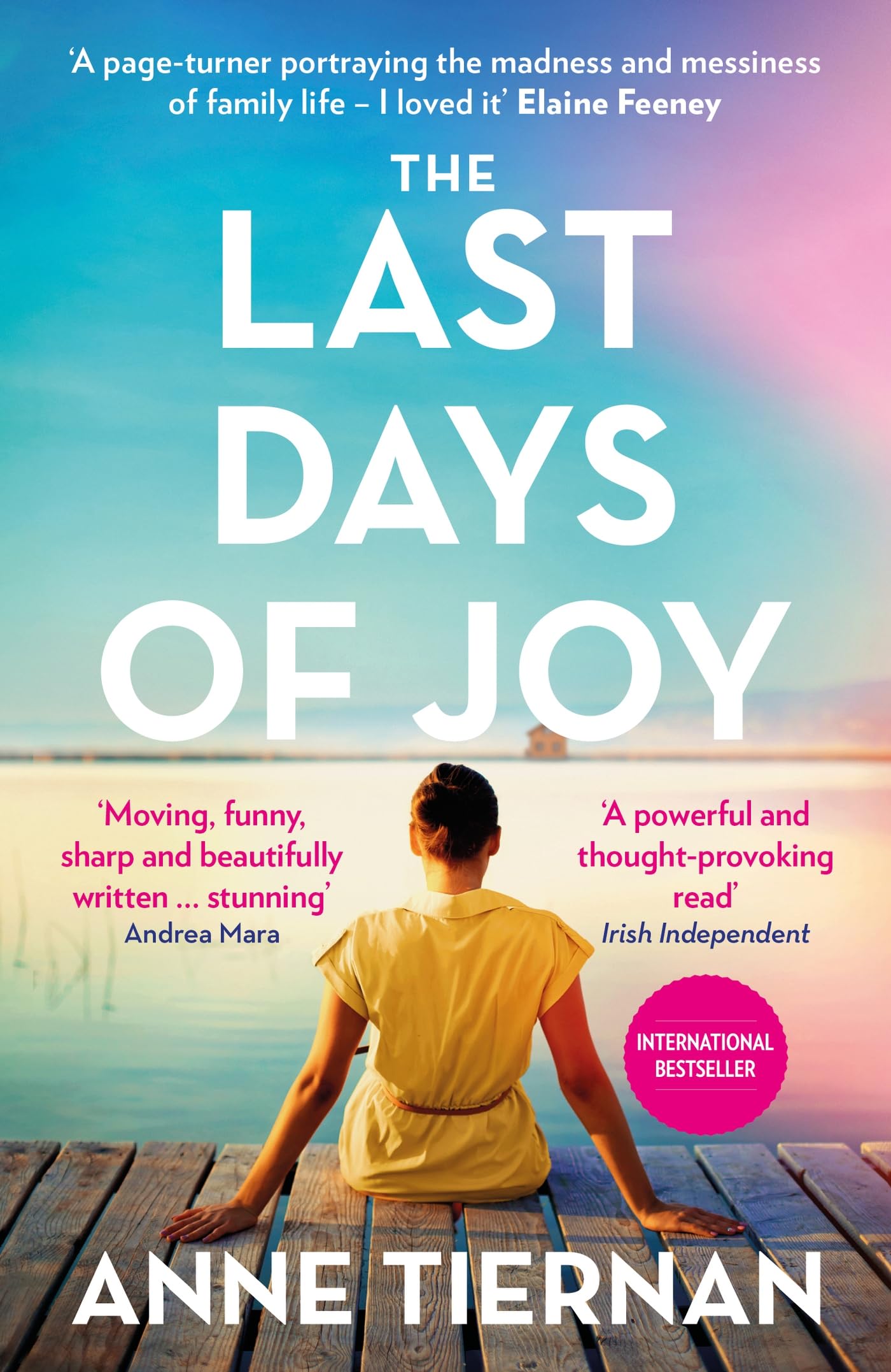 The Last Days of Joy book