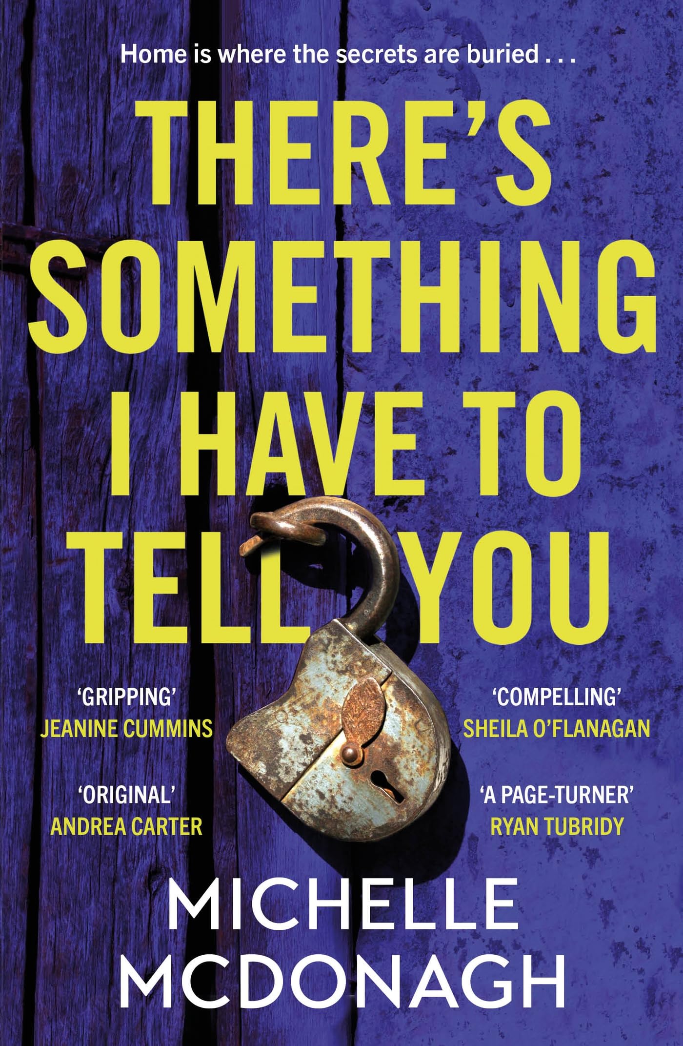 There's Something I Have to Tell You: A gripping, twisty mystery about long-buried family secrets book