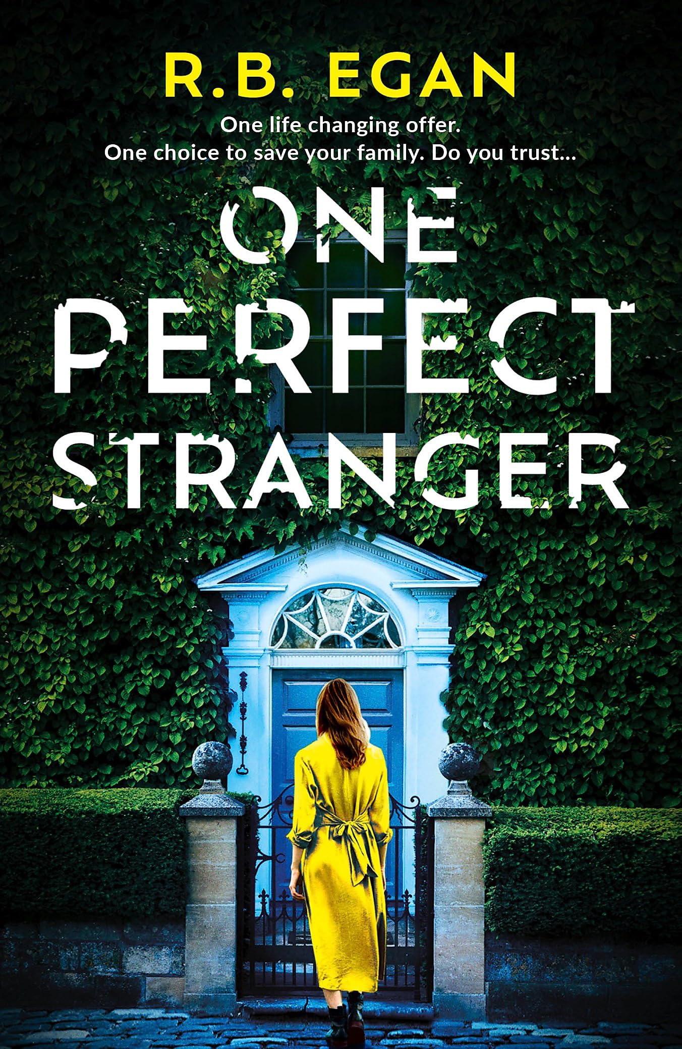 One Perfect Stranger: An utterly gripping psychological thriller with a heart-stopping twist book
