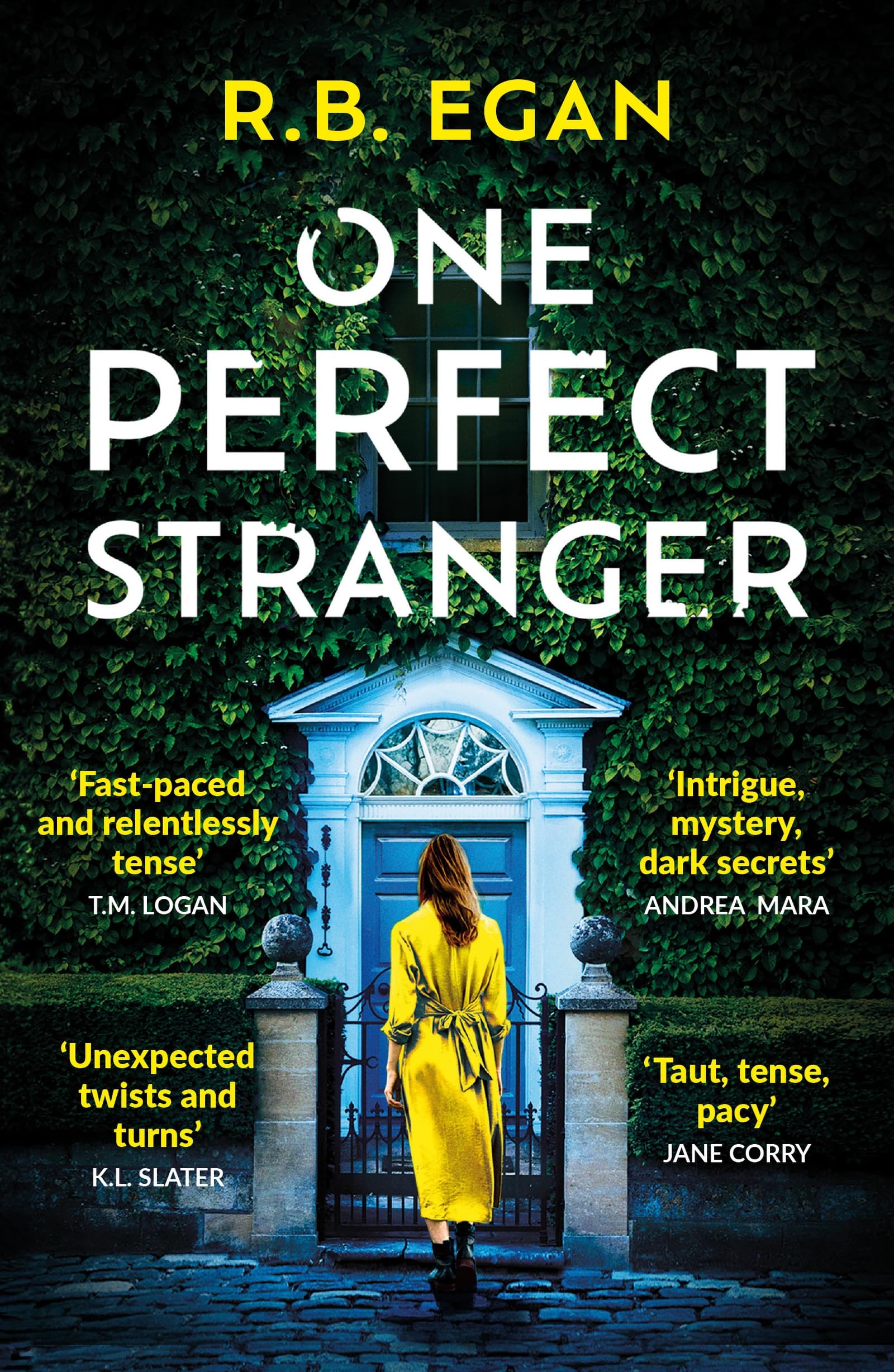 One Perfect Stranger: An utterly gripping psychological thriller with a heart-stopping twist book