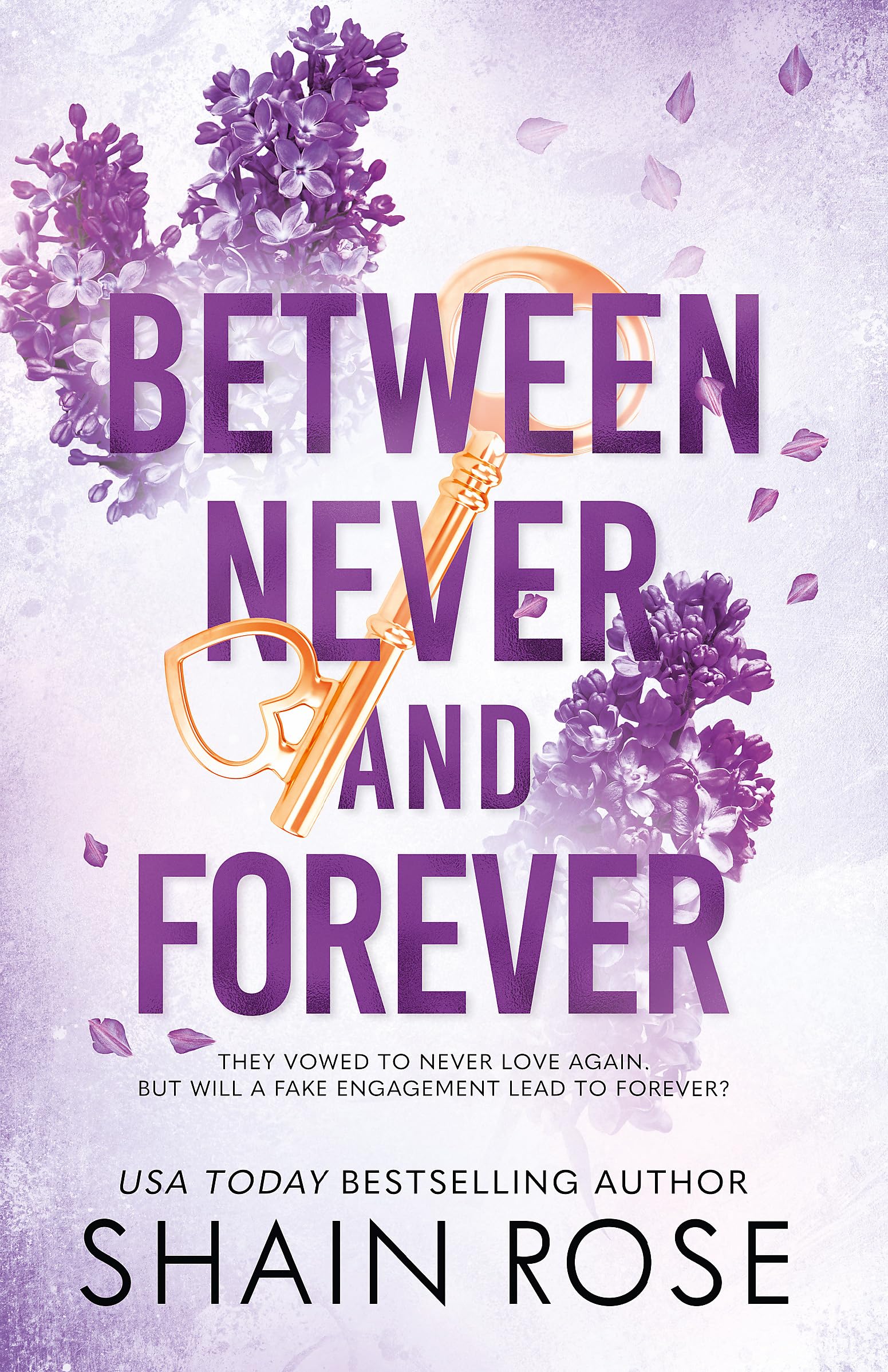 BETWEEN NEVER AND FOREVER Contemporary literature Books