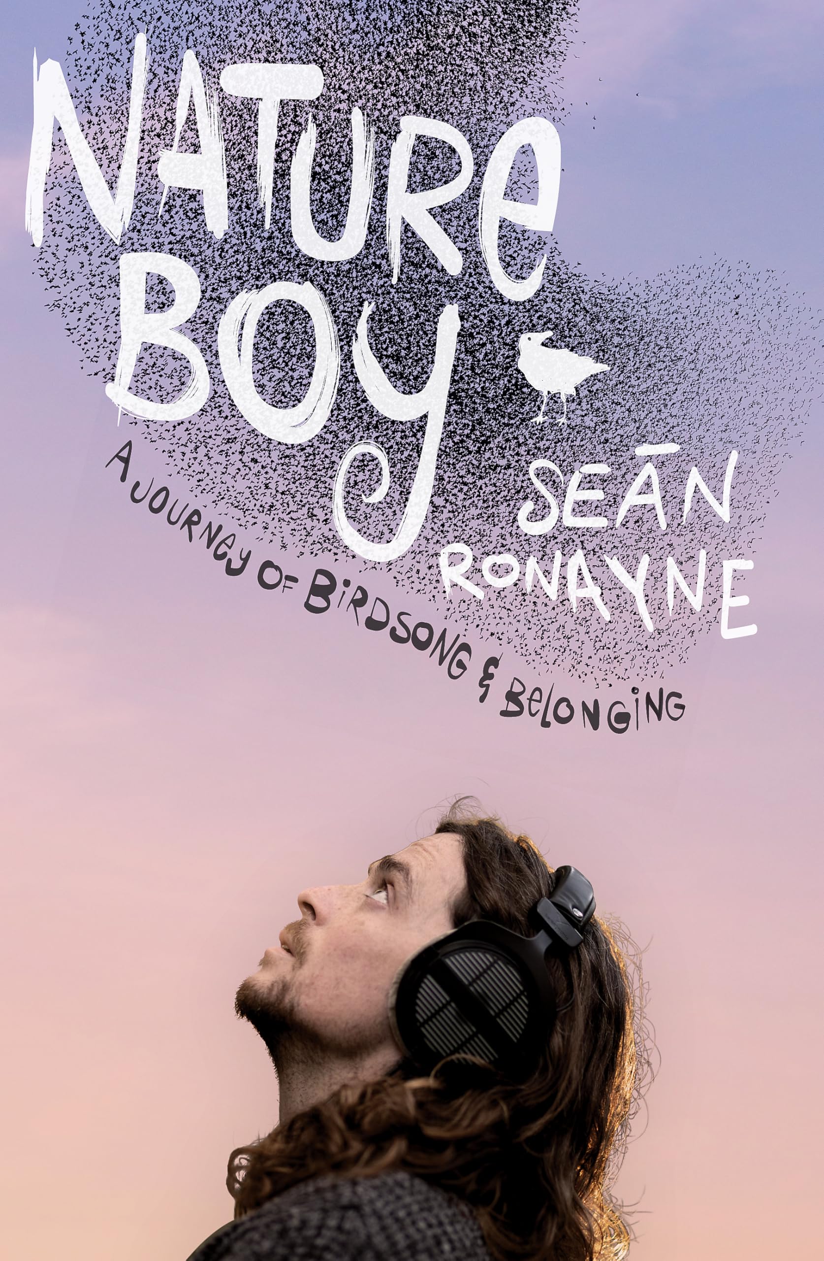 Nature Boy: A journey of birdsong and belonging Art & Literature
