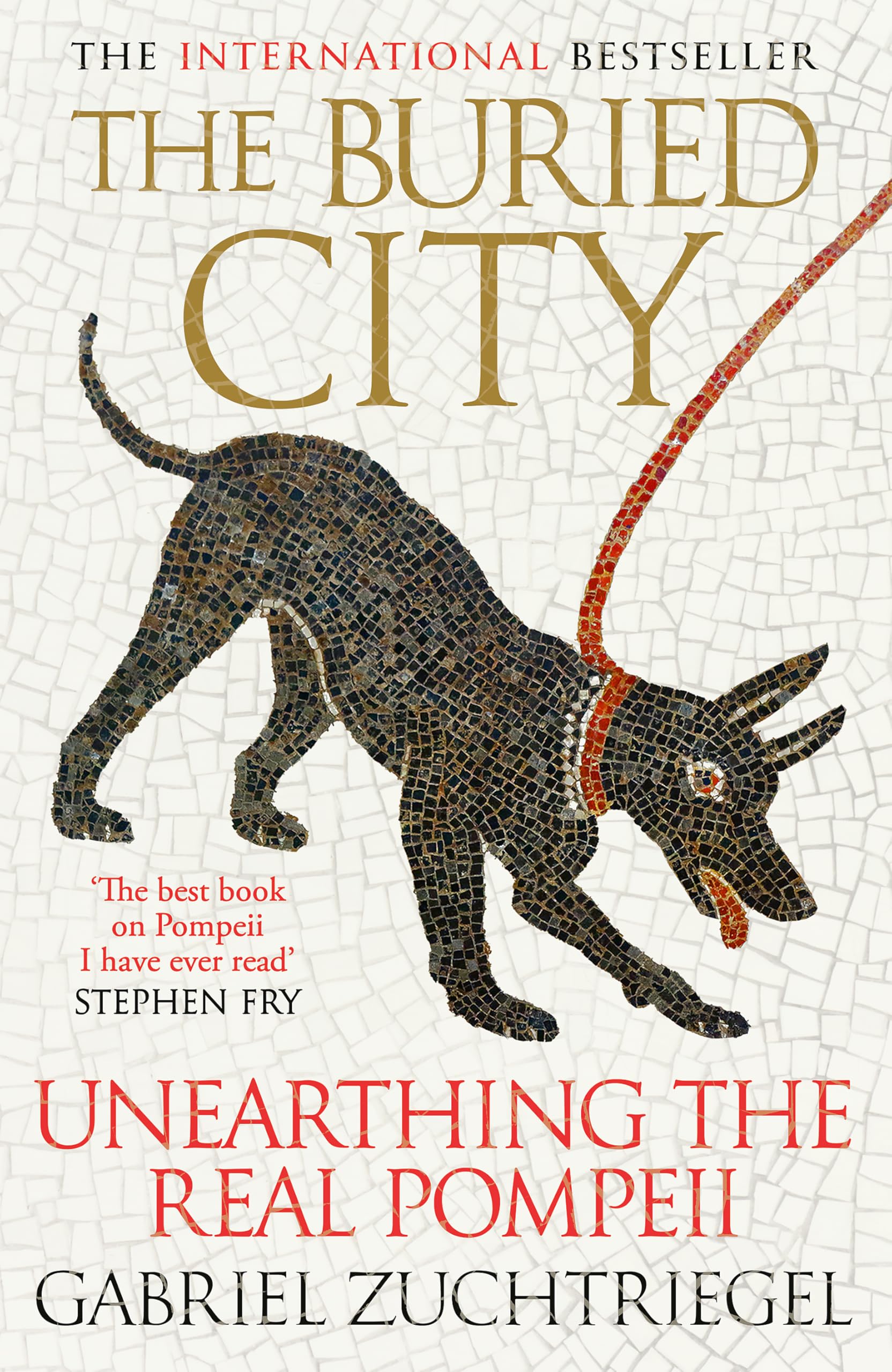 The Buried City Social Sciences